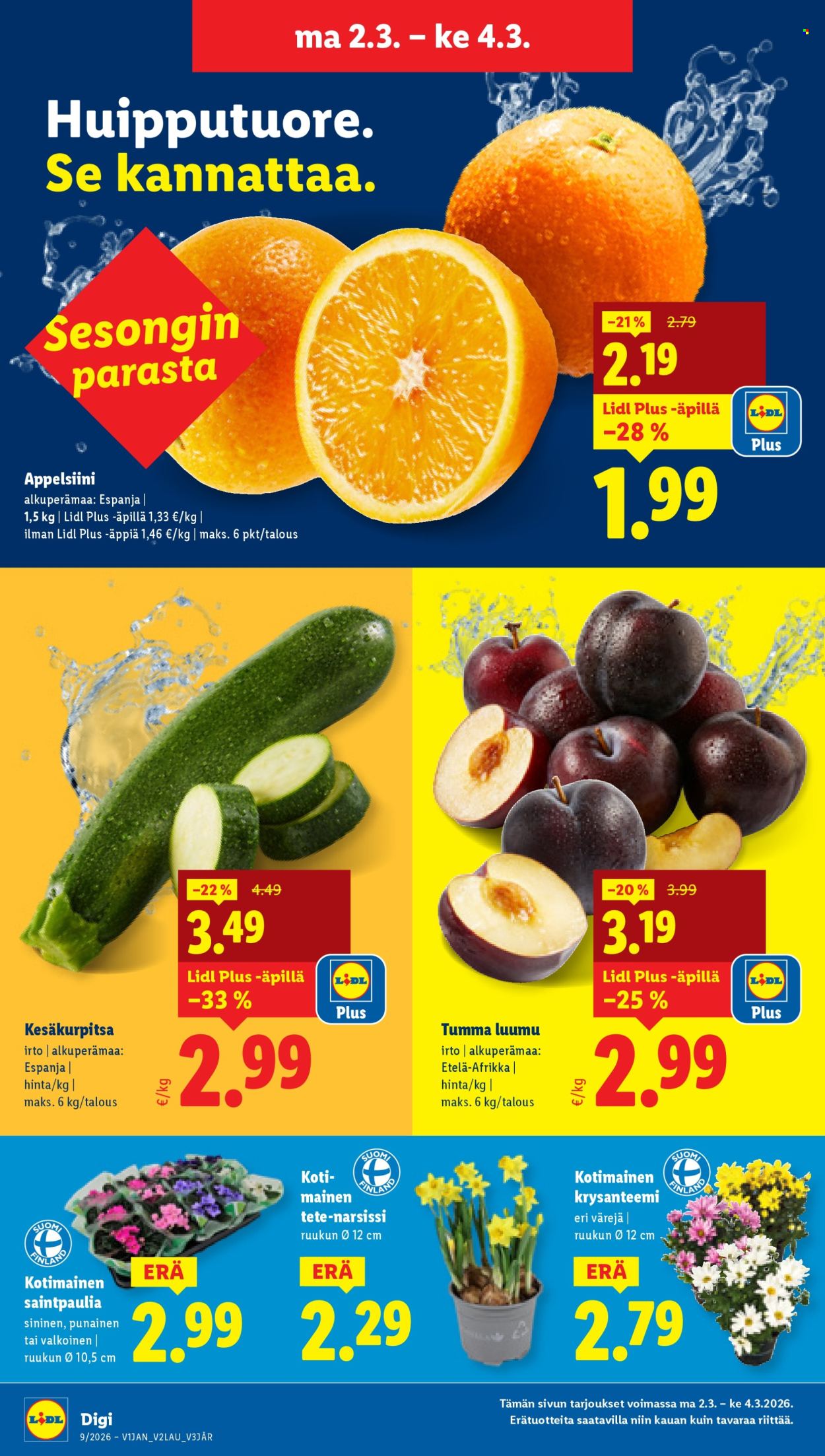 Lidl tarjoukset - 26.02.2026 - 04.03.2026. Sivu 21