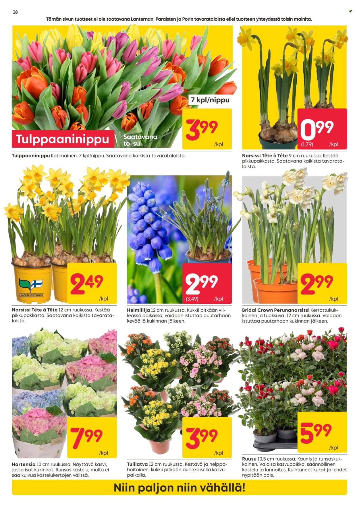 Rusta tarjoukset - 02.03.2026 - 08.03.2026. Sivu 18