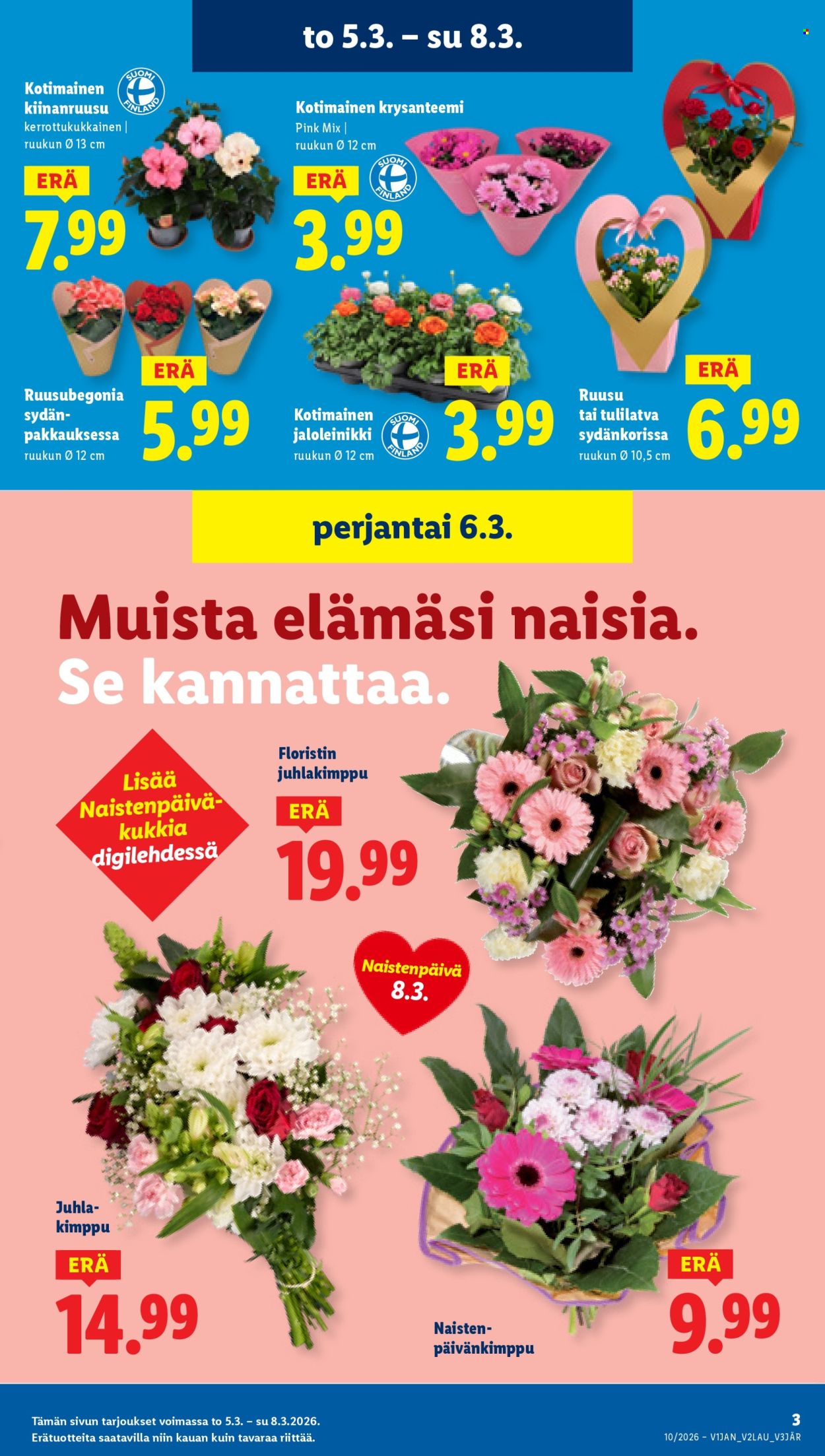 Lidl tarjoukset - 05.03.2026 - 11.03.2026. Sivu 3