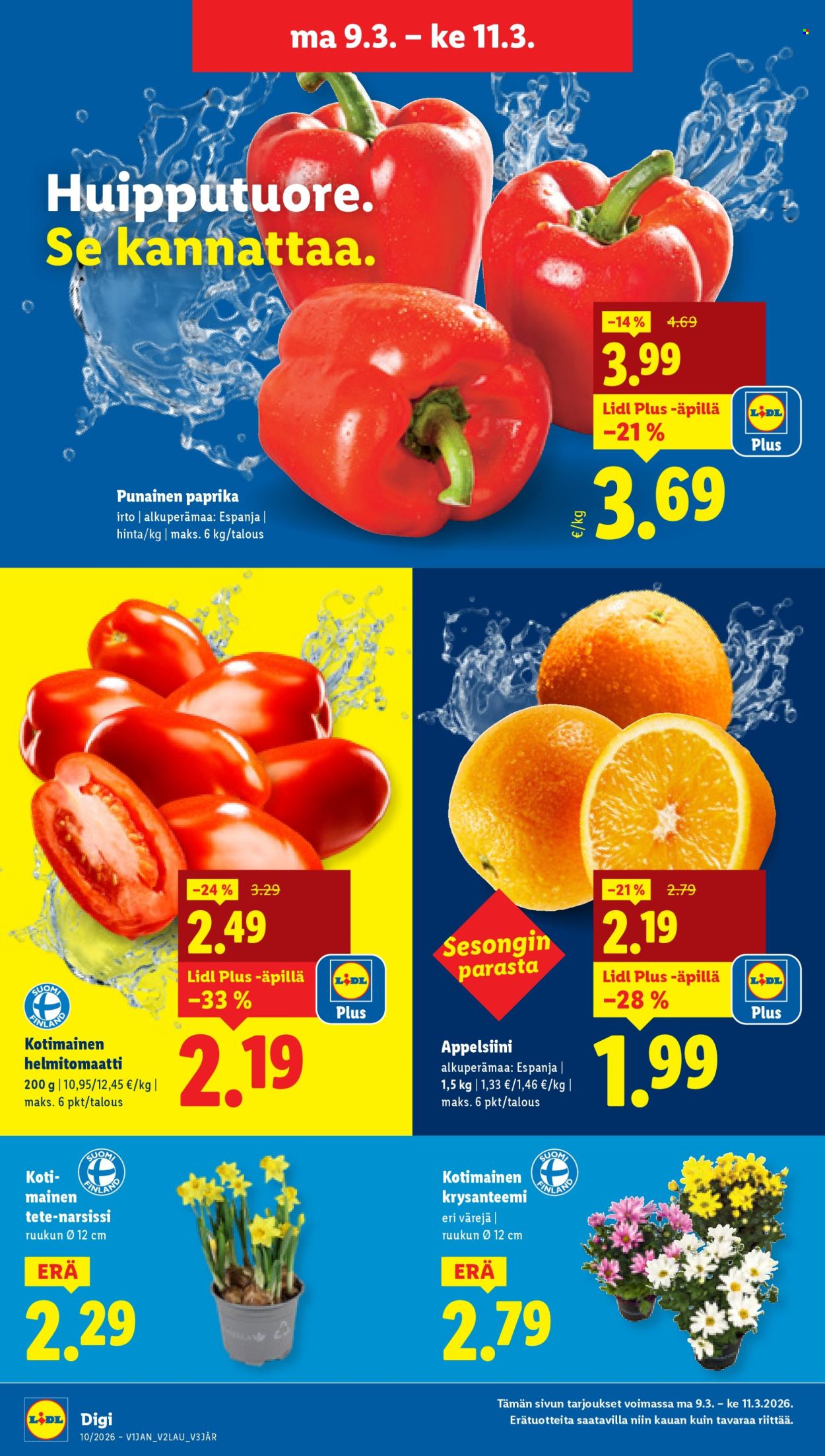 Lidl tarjoukset - 05.03.2026 - 11.03.2026. Sivu 21