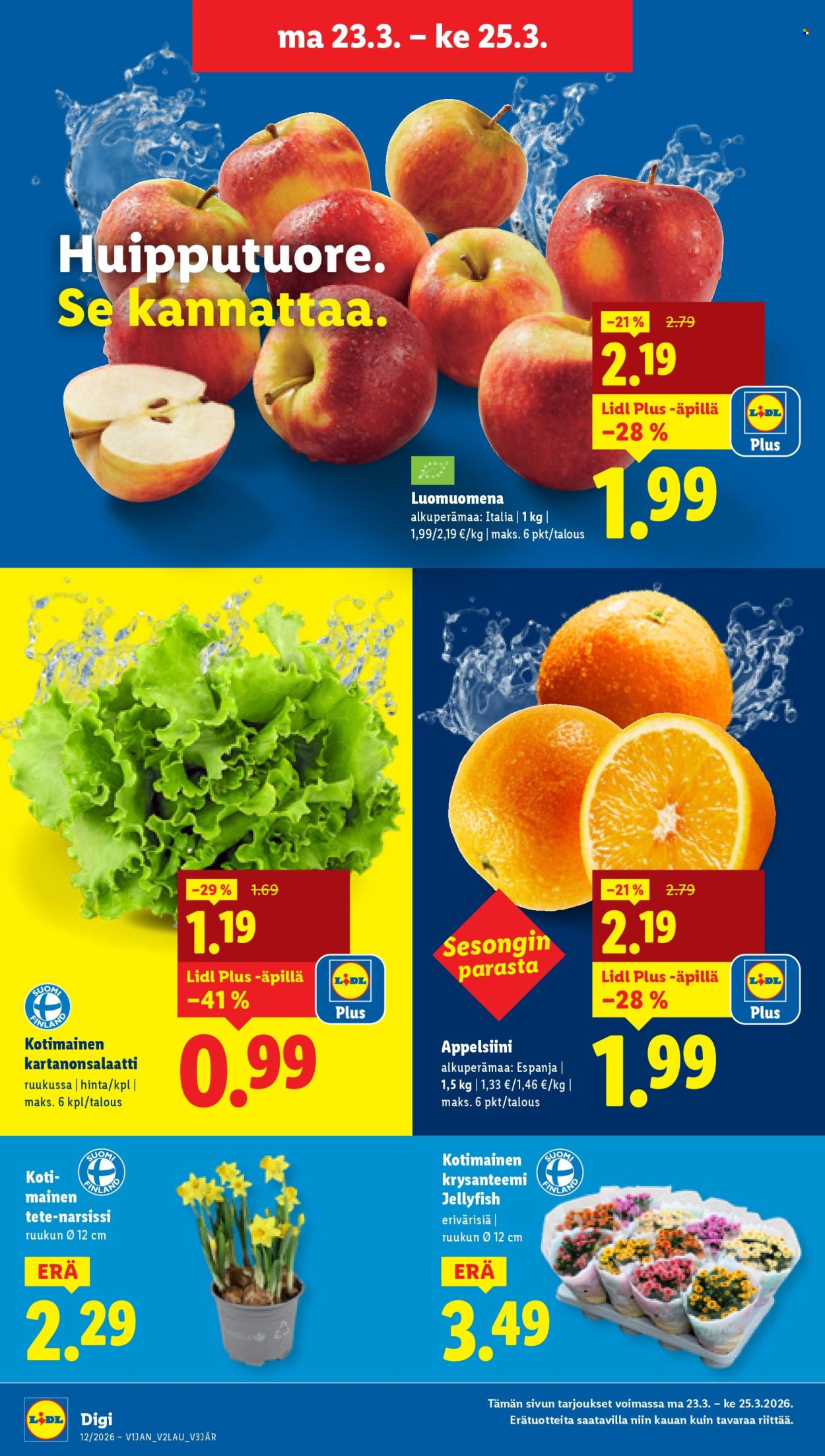 Lidl tarjoukset - 19.03.2026 - 25.03.2026. Sivu 21
