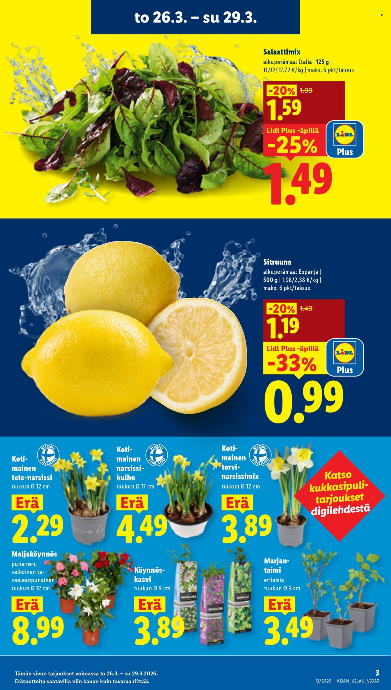 Lidl tarjoukset - 26.03.2026 - 31.03.2026. Sivu 3