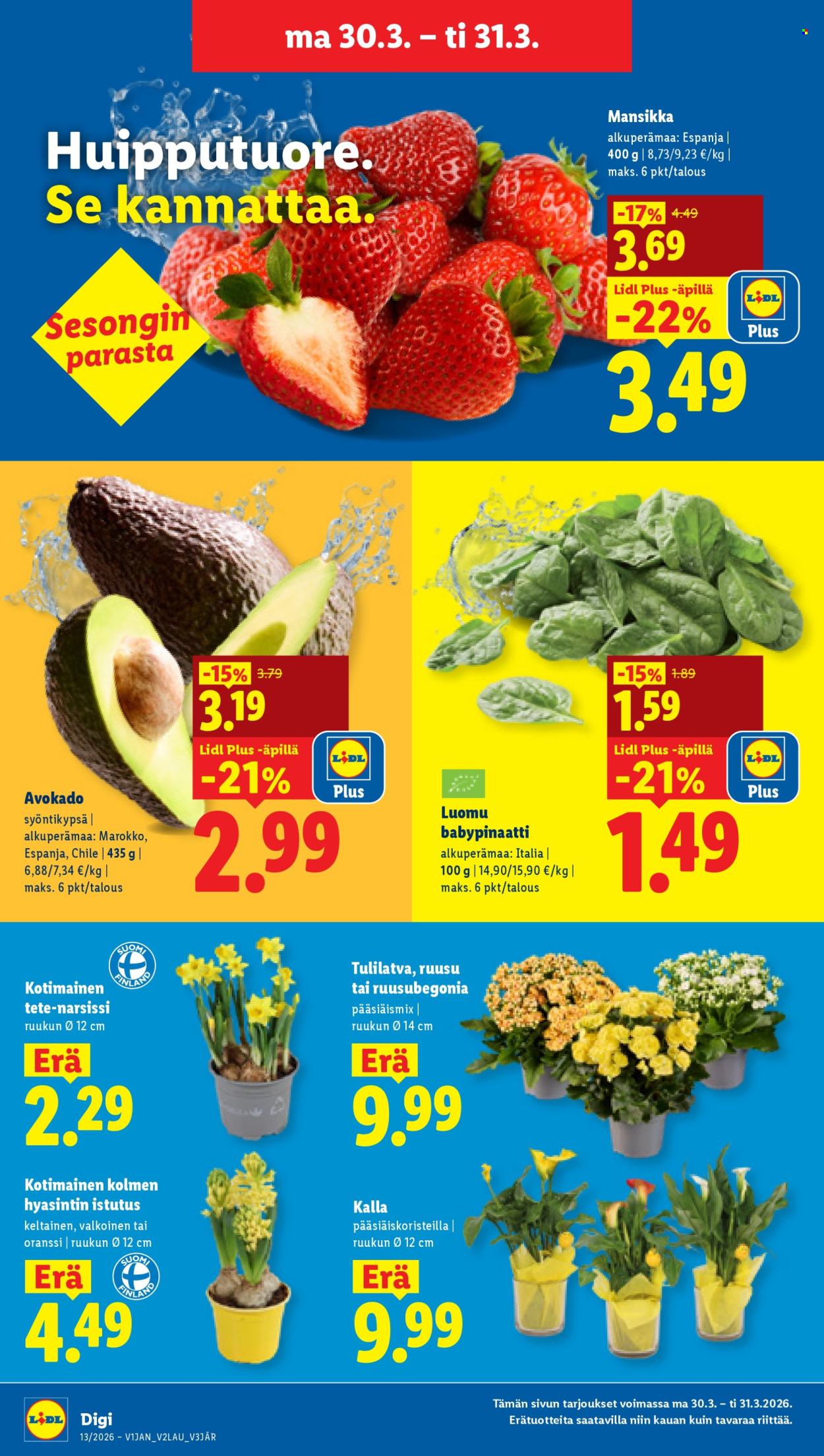 Lidl tarjoukset - 26.03.2026 - 31.03.2026. Sivu 21