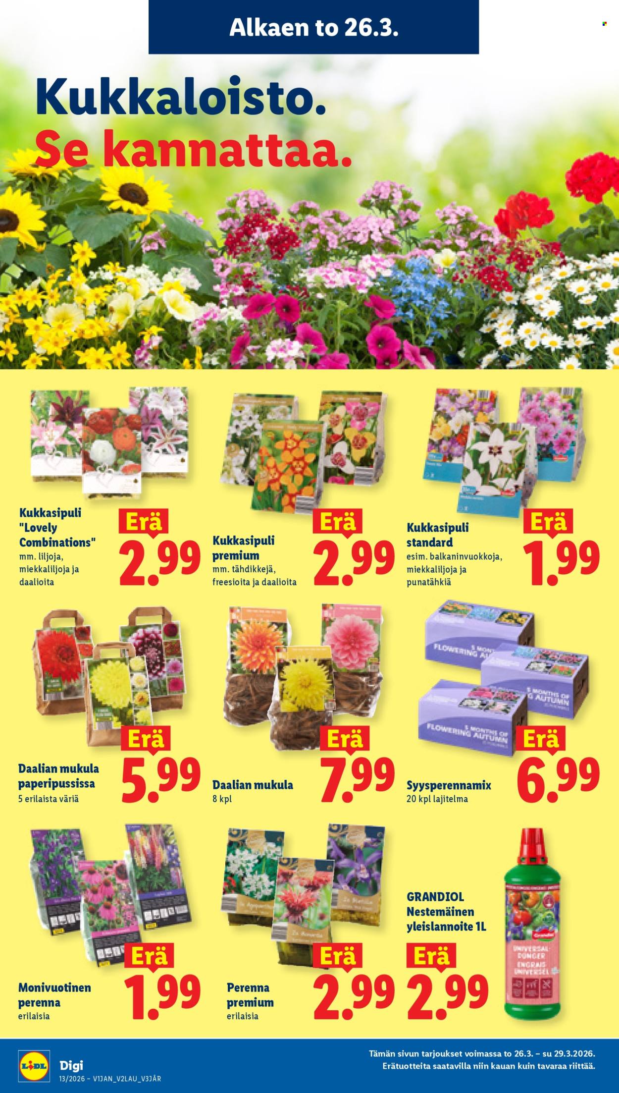 Lidl tarjoukset - 26.03.2026 - 31.03.2026. Sivu 31