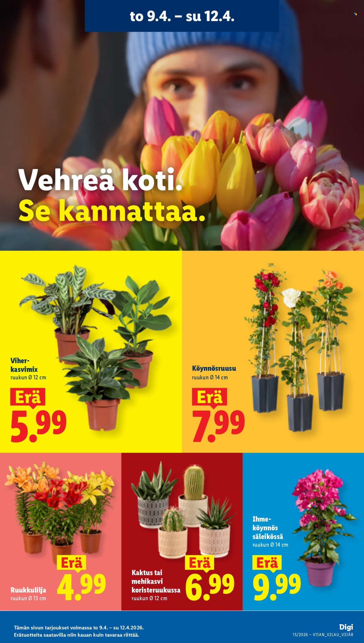 Lidl tarjoukset - 09.04.2026 - 15.04.2026. Sivu 13