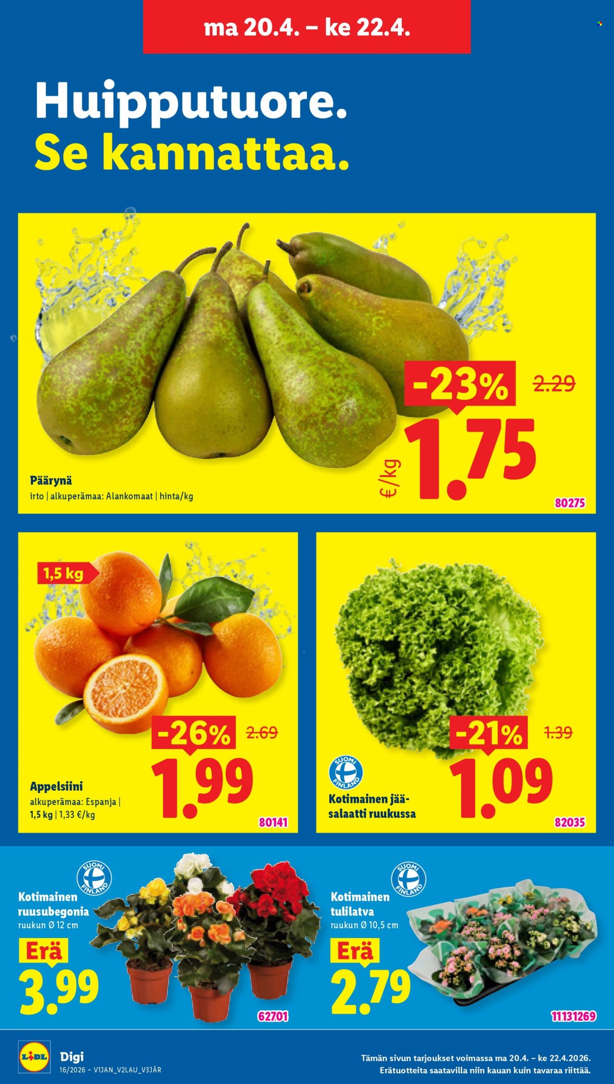 Lidl tarjoukset - 16.04.2026 - 22.04.2026. Sivu 21