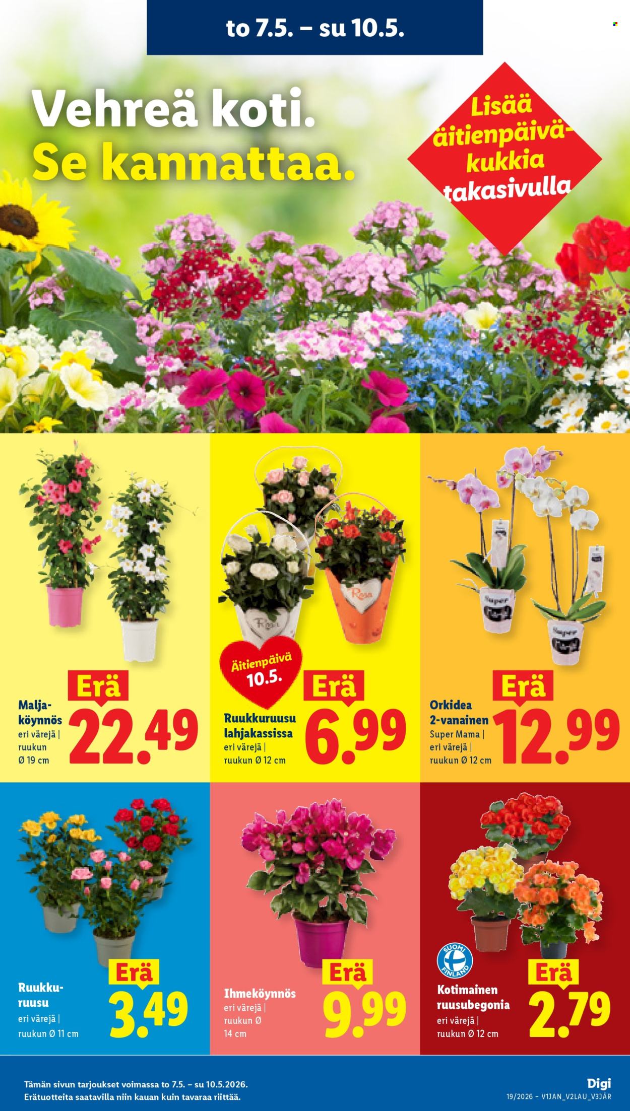 Lidl tarjoukset - 07.05.2026 - 12.05.2026. Sivu 20