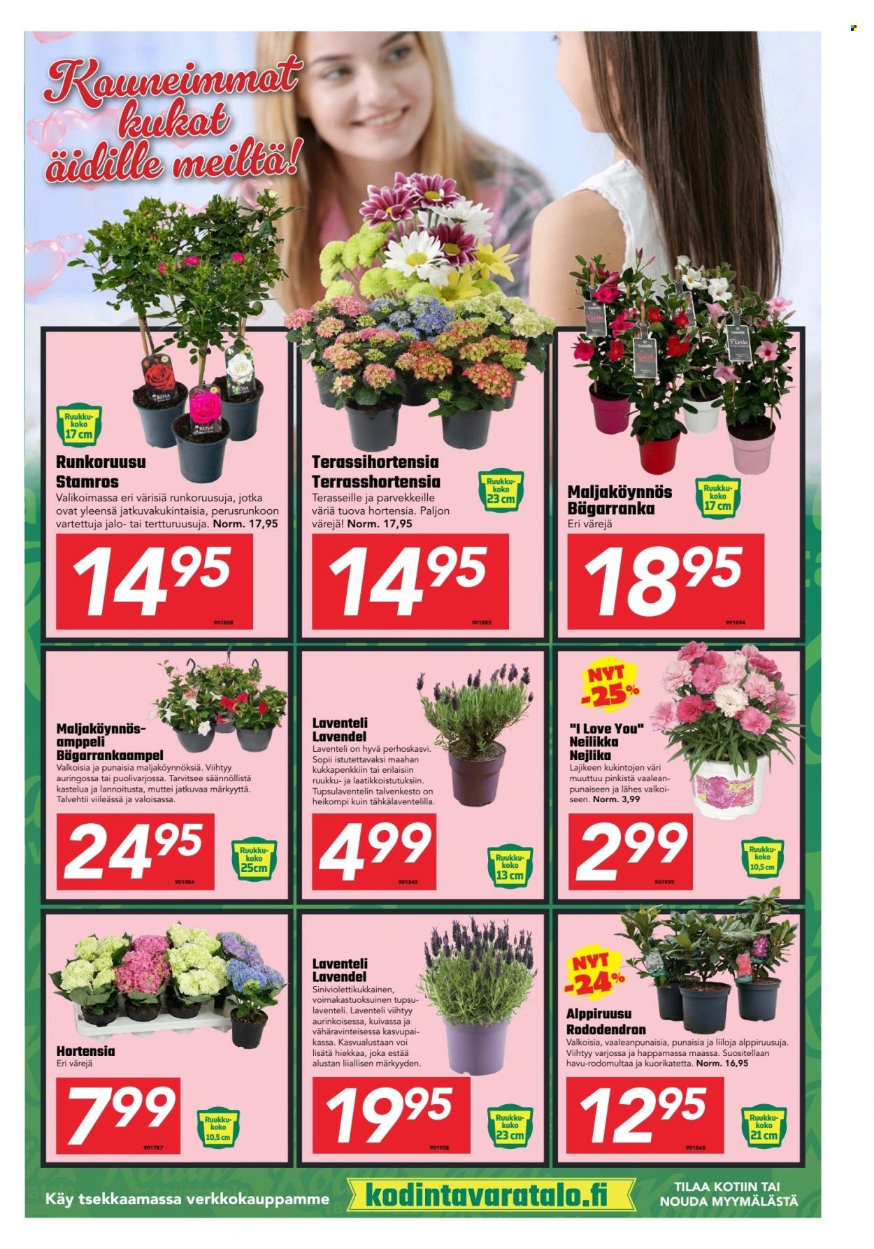 Kodintavaratalo tarjoukset - 04.05.2026 - 17.05.2026. Sivu 3