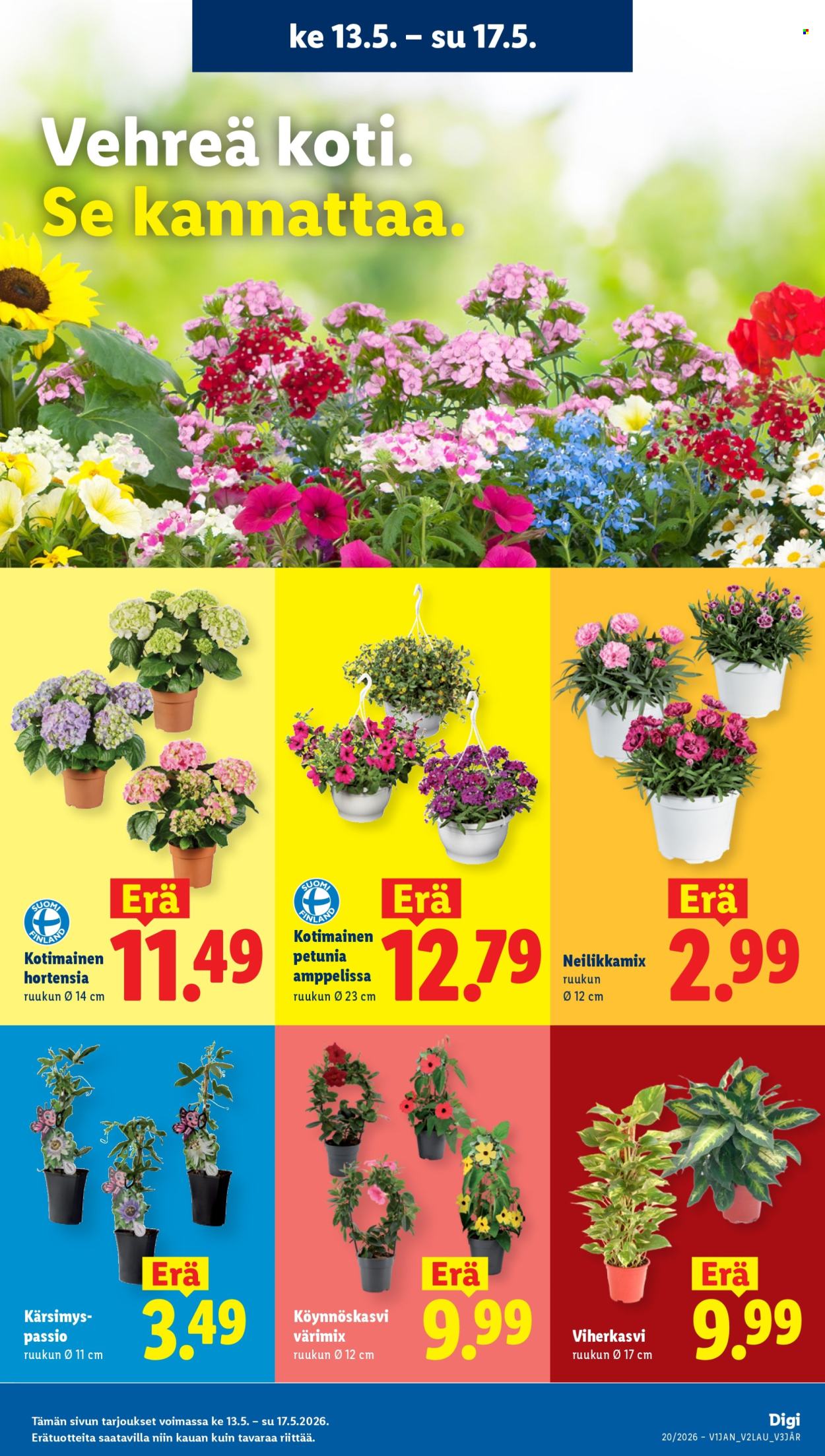 Lidl tarjoukset - 13.05.2026 - 20.05.2026. Sivu 21