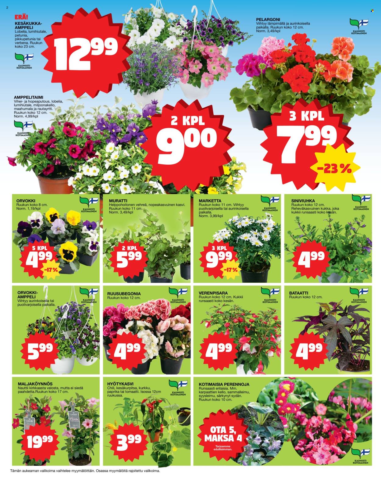 Tokmanni tarjoukset - 18.05.2026 - 24.05.2026. Sivu 2