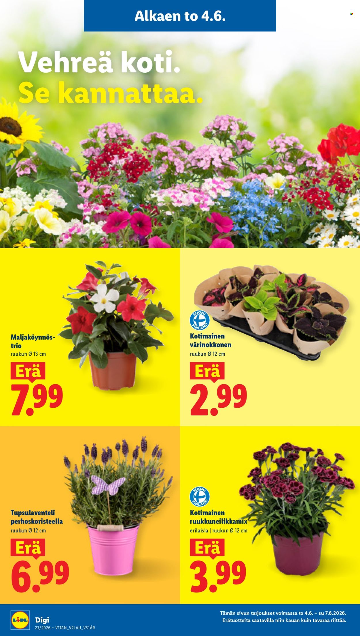 Lidl tarjoukset - 04.06.2026 - 10.06.2026. Sivu 20