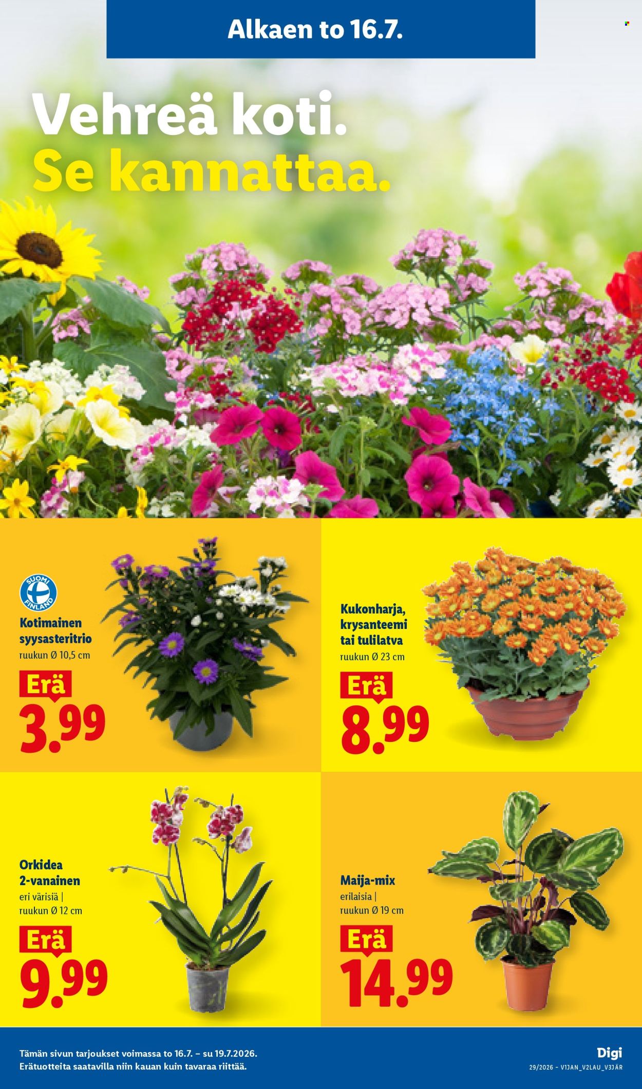 Lidl tarjoukset - 16.07.2026 - 22.07.2026. Sivu 15