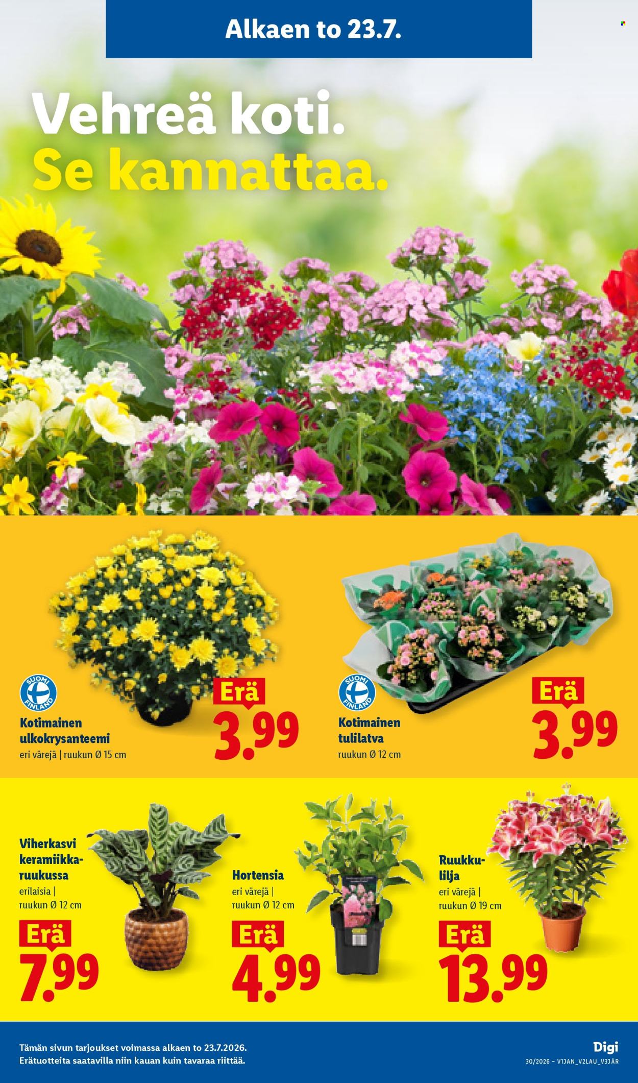 Lidl tarjoukset - 23.07.2026 - 29.07.2026. Sivu 16