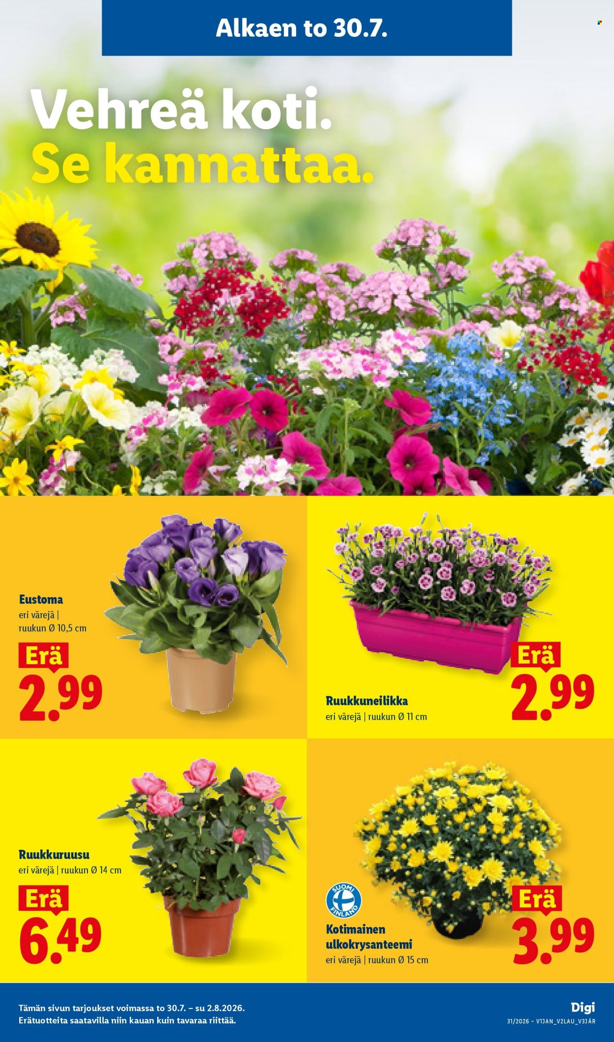 Lidl tarjoukset - 30.07.2026 - 05.08.2026. Sivu 13