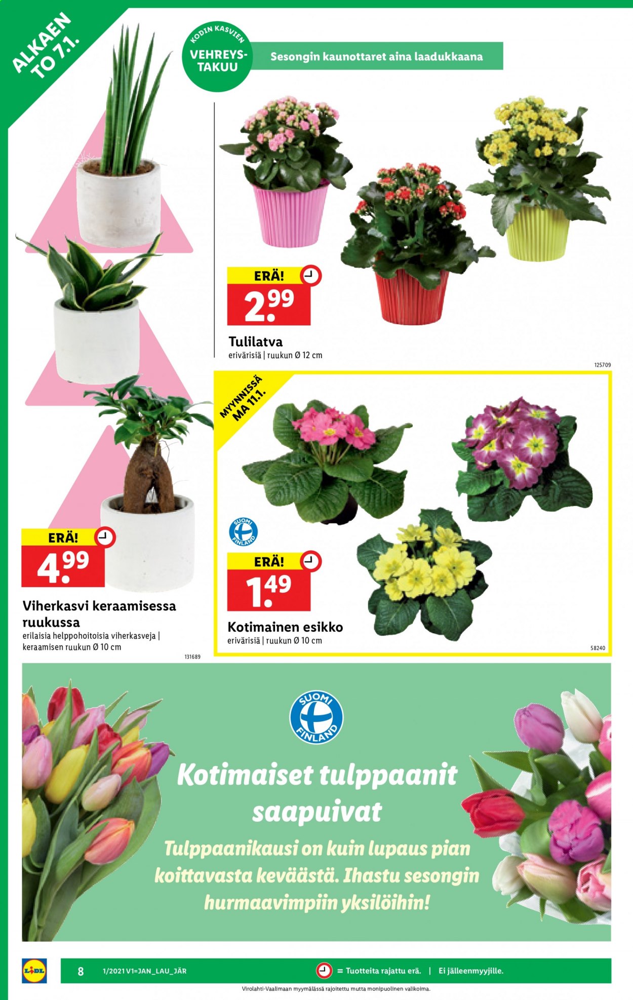 Lidl tarjoukset - 07.01.2021 - 13.01.2021. Sivu 8