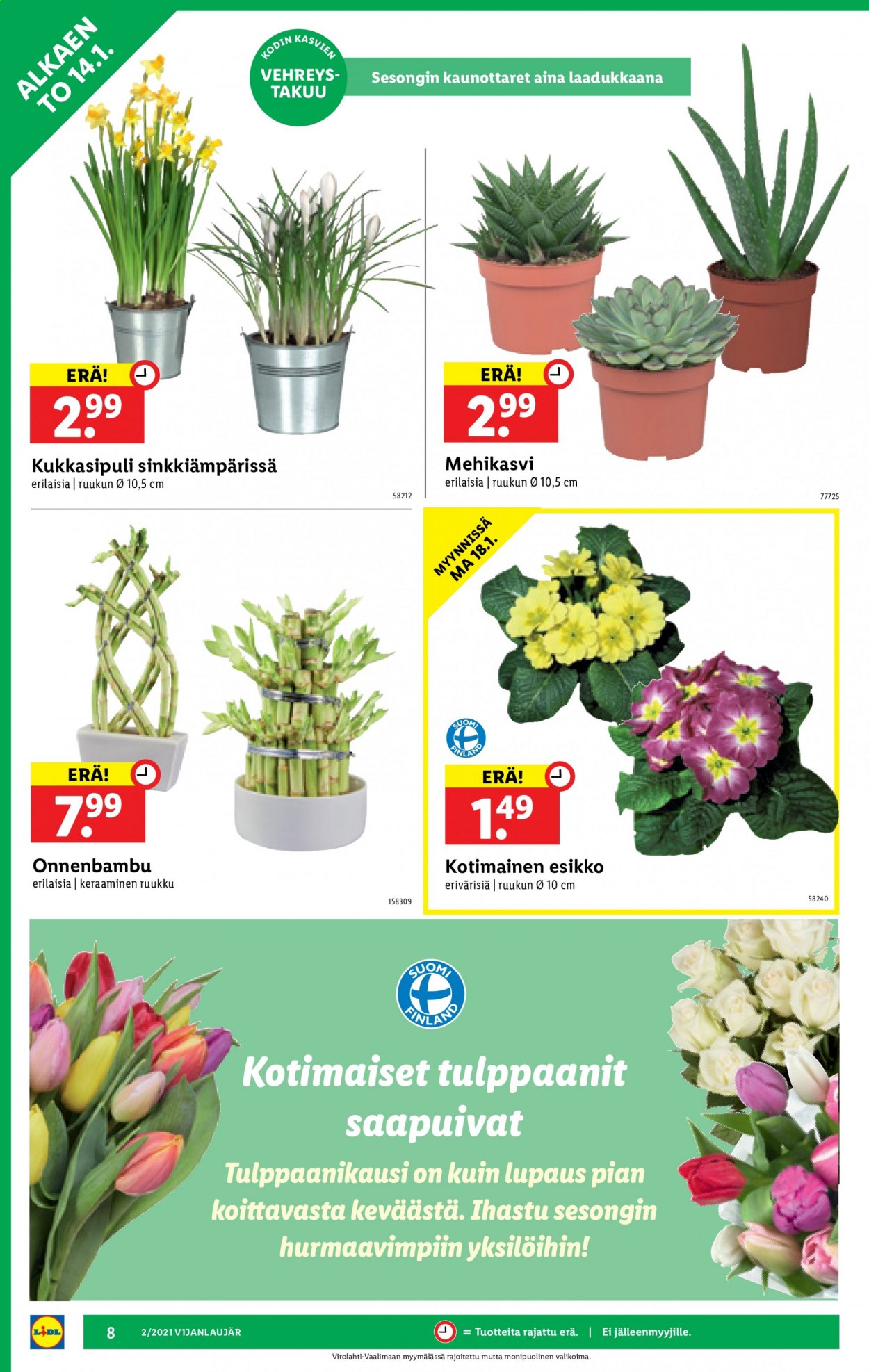Lidl tarjoukset - 14.01.2021 - 20.01.2021. Sivu 8
