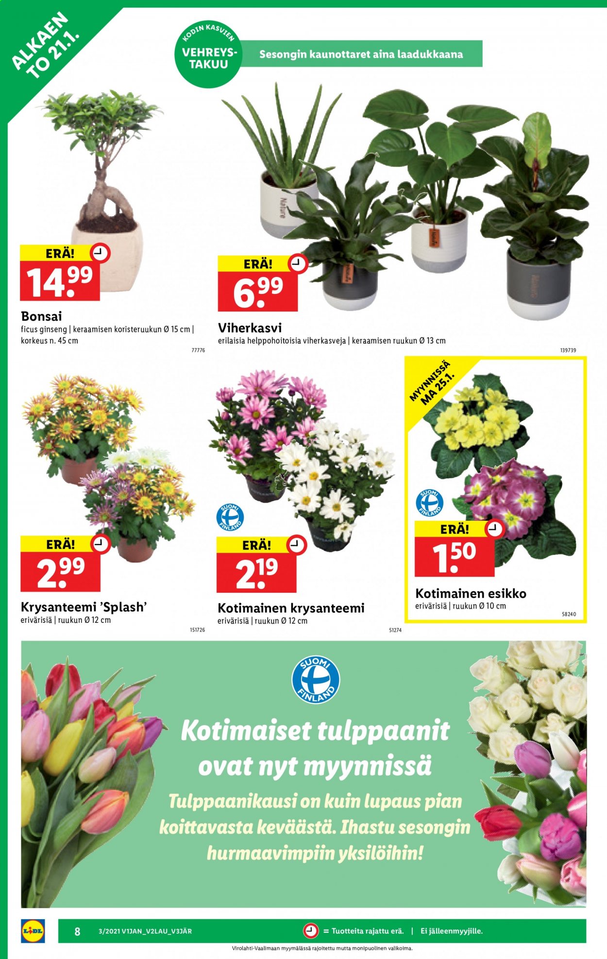 Lidl tarjoukset - 21.01.2021 - 27.01.2021. Sivu 8
