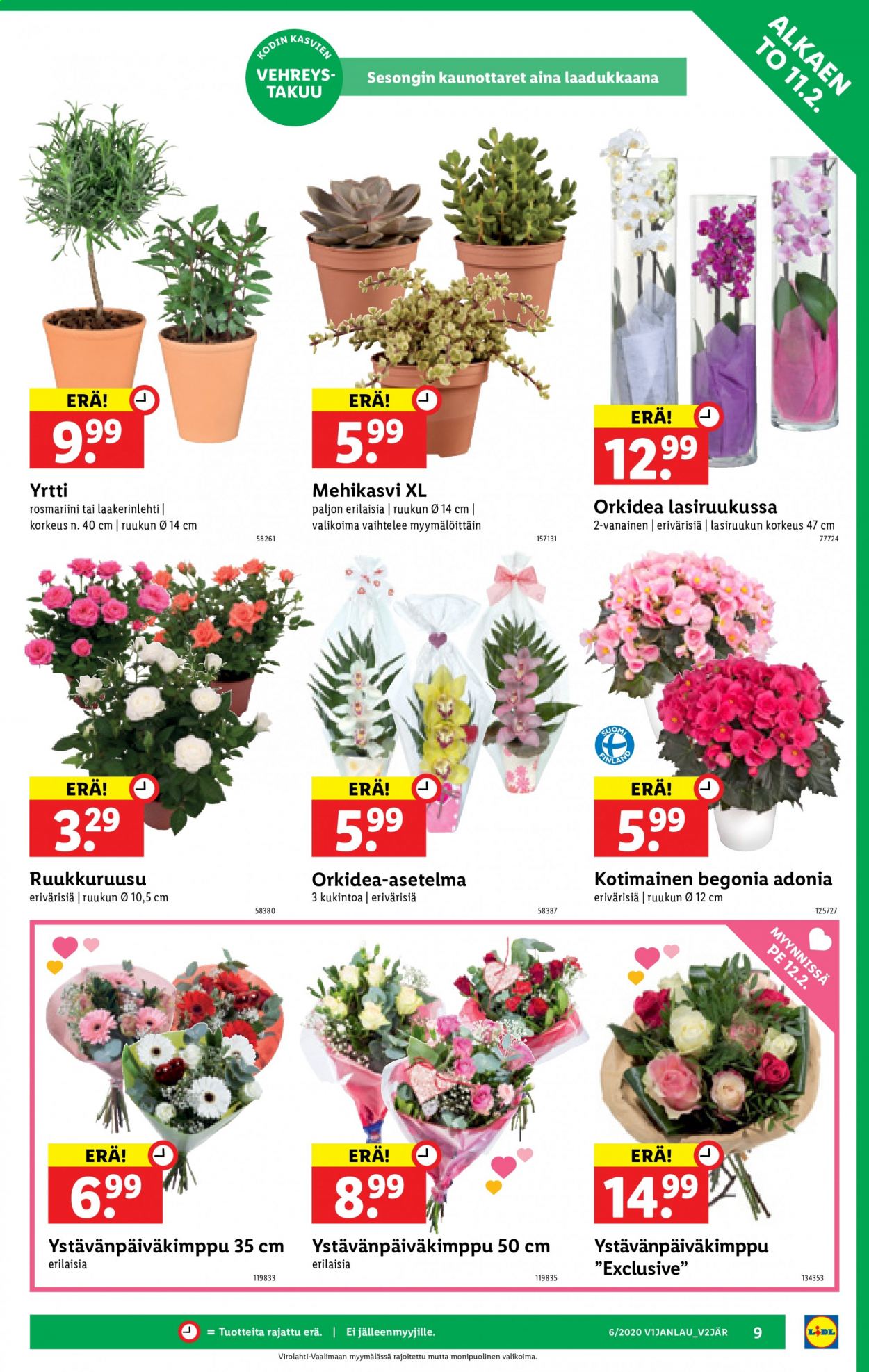 Lidl tarjoukset - 11.02.2021 - 17.02.2021. Sivu 9