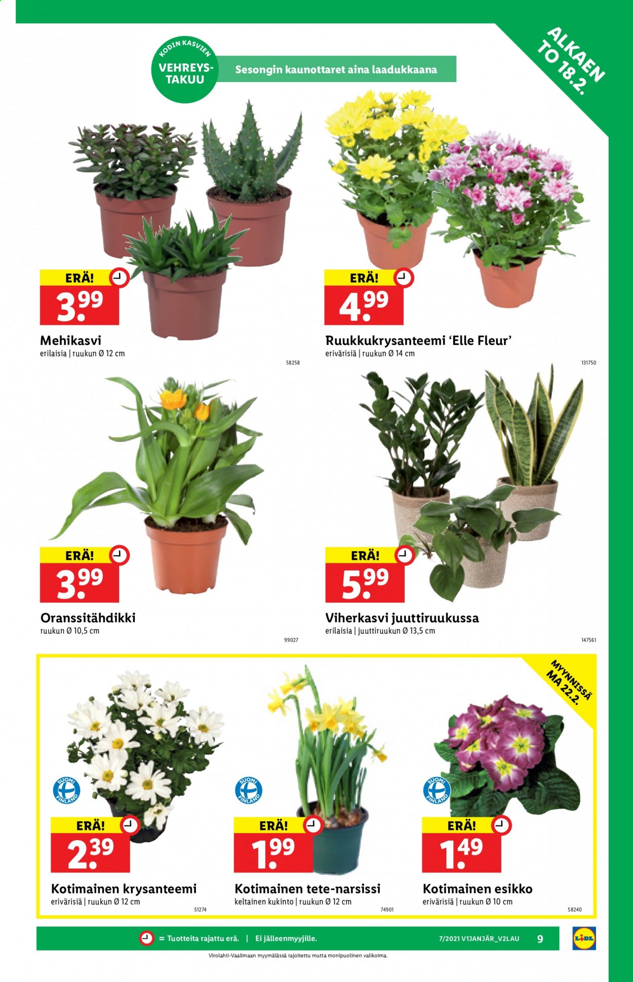 Lidl tarjoukset - 18.02.2021 - 24.02.2021. Sivu 9