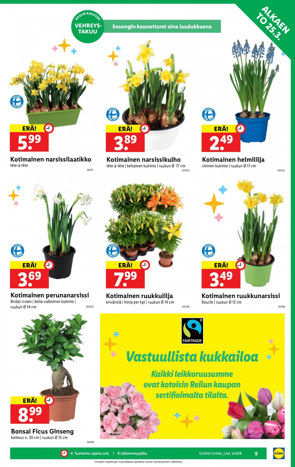 Lidl tarjoukset - 25.03.2021 - 28.03.2021. Sivu 9