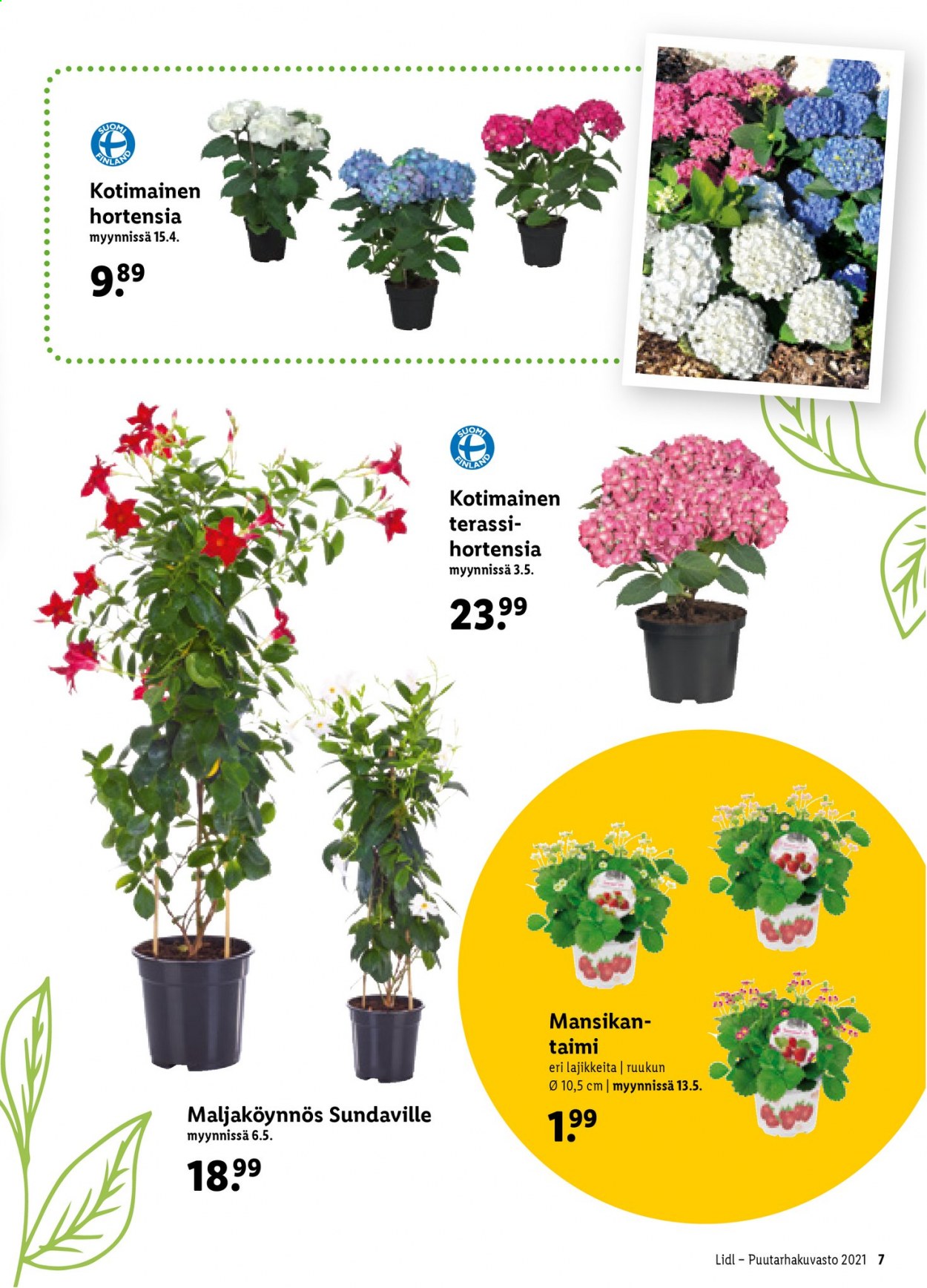 Lidl tarjoukset - 08.04.2021 - 14.06.2021. Sivu 7