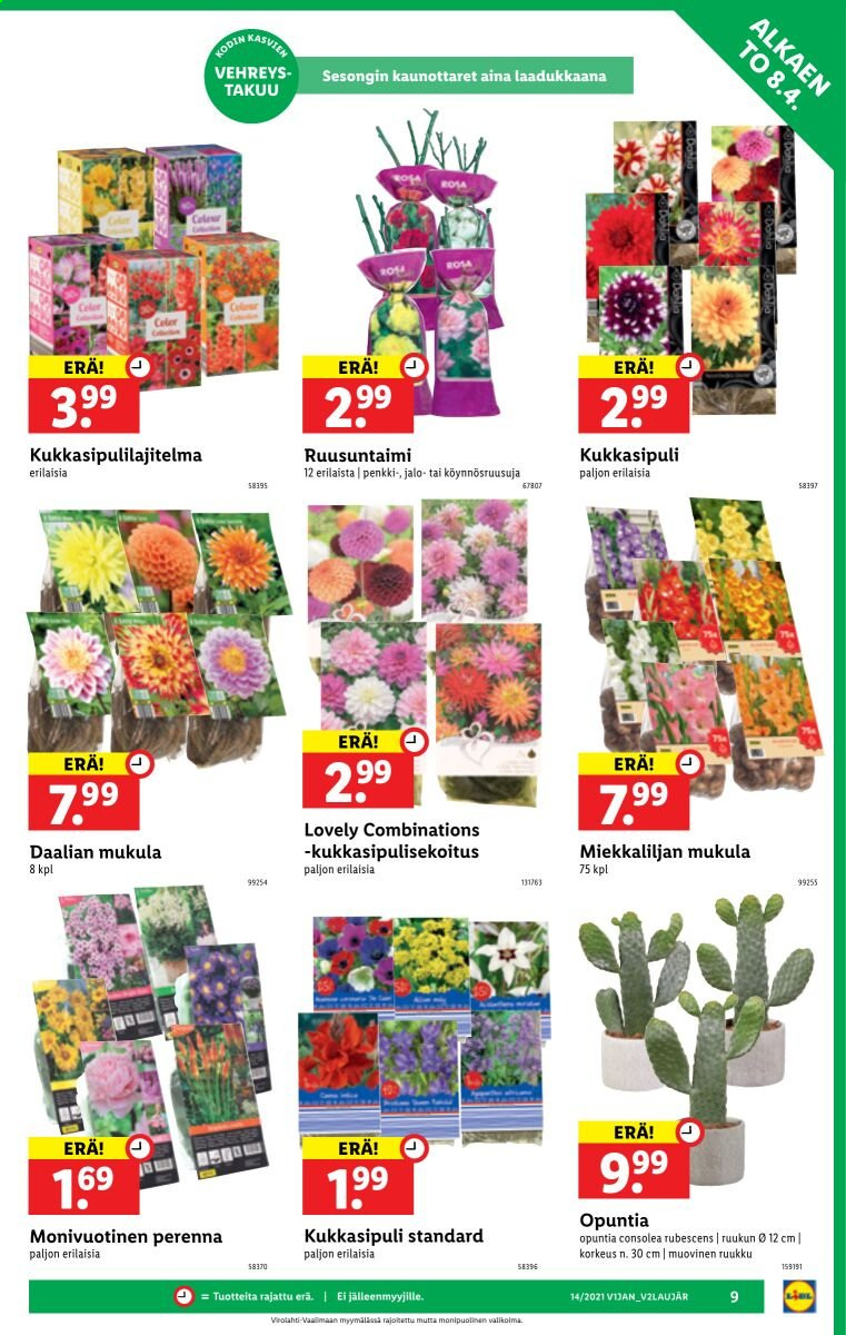 Lidl tarjoukset - 08.04.2021 - 14.04.2021. Sivu 9
