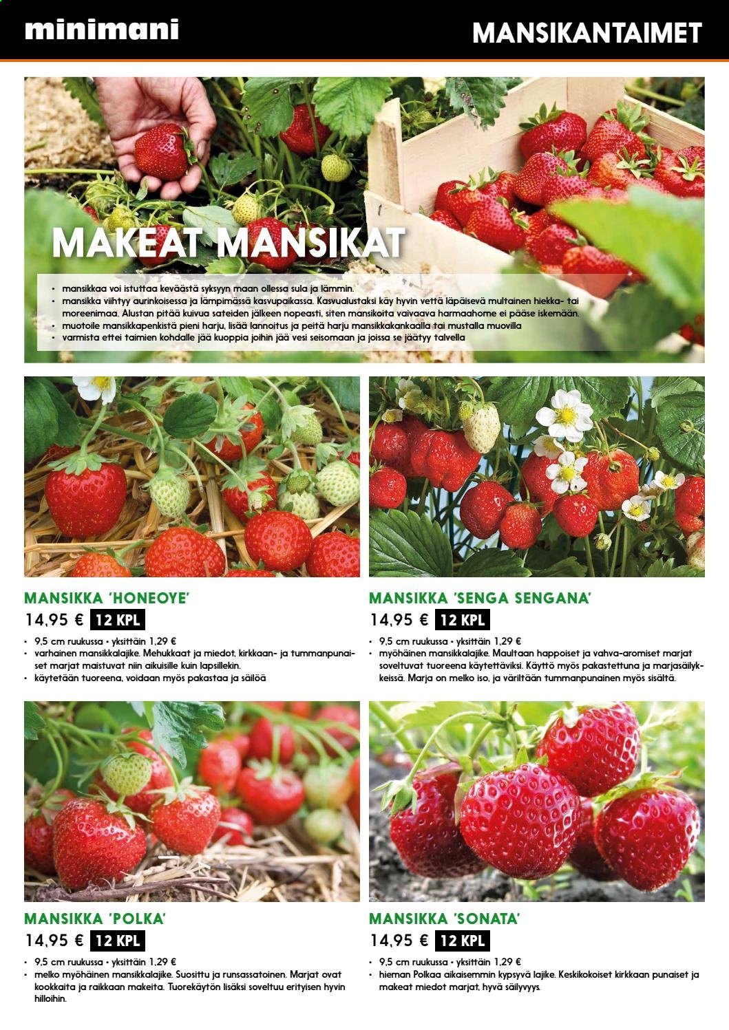 Minimani tarjoukset. Sivu 7