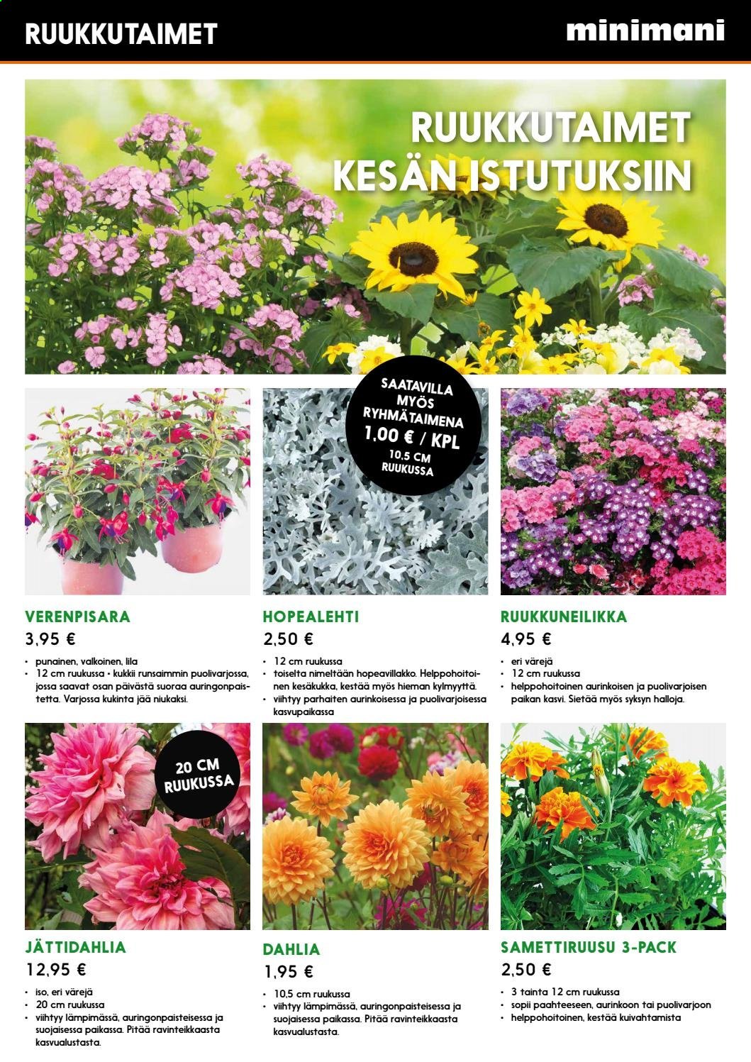 Minimani tarjoukset. Sivu 12