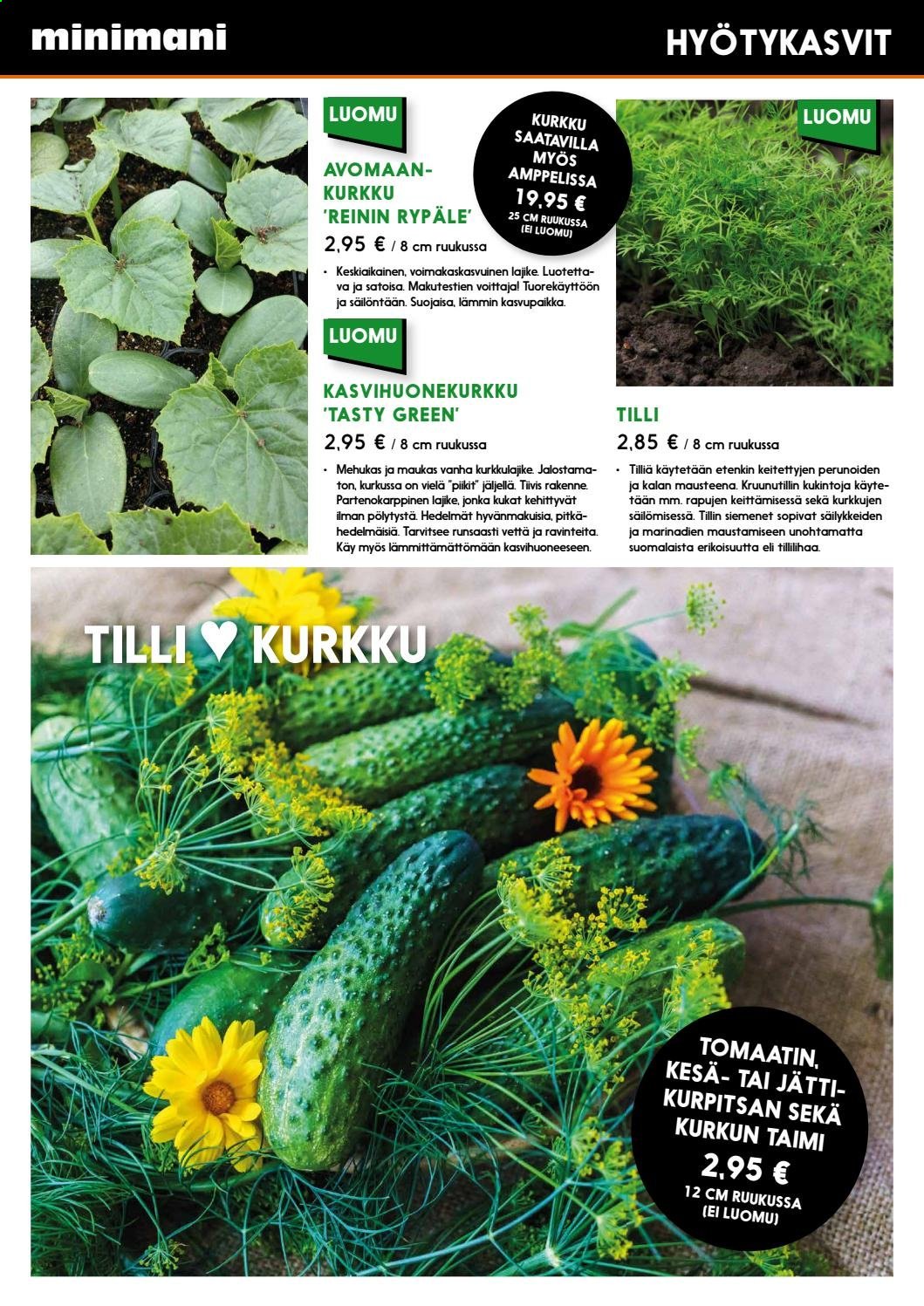 Minimani tarjoukset. Sivu 19