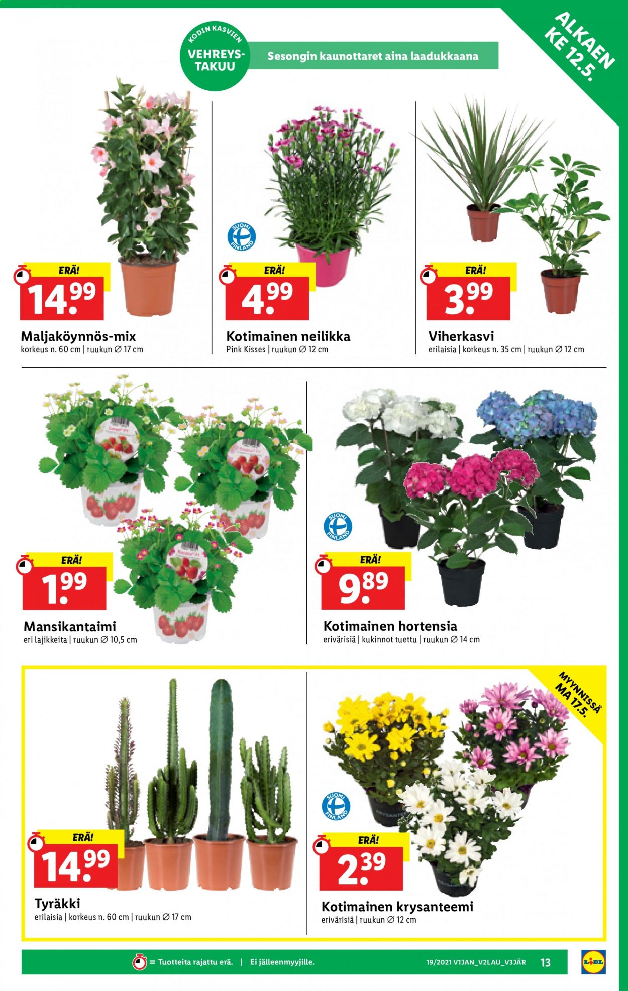 Lidl tarjoukset - 12.05.2021 - 19.05.2021. Sivu 13