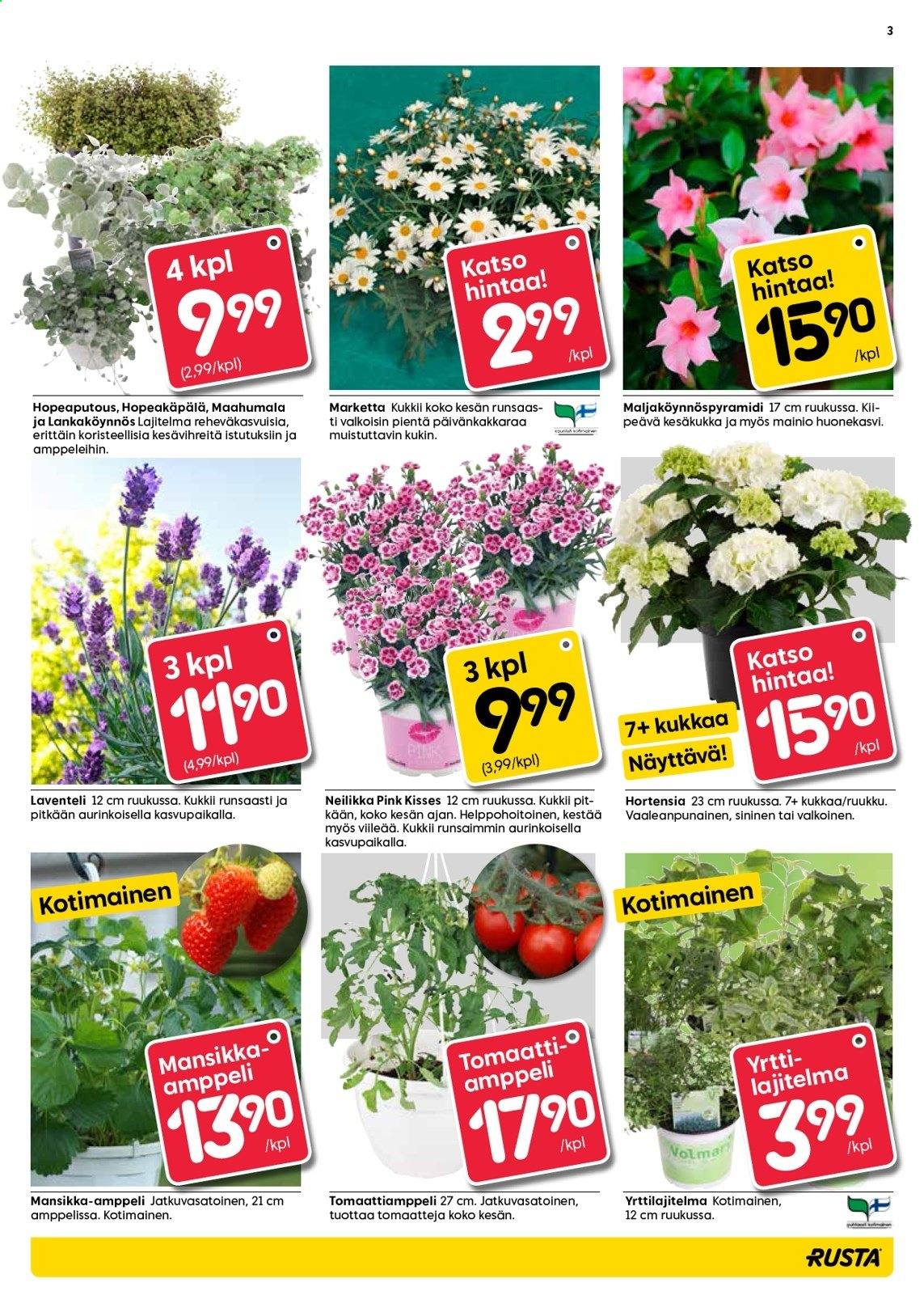 Rusta tarjoukset - 19.05.2021 - 25.05.2021. Sivu 3