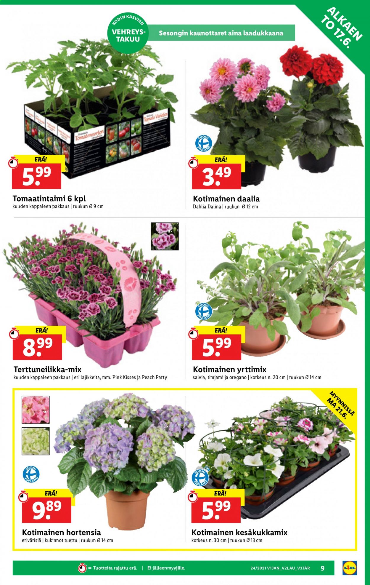 Lidl tarjoukset - 17.06.2021 - 20.06.2021. Sivu 9