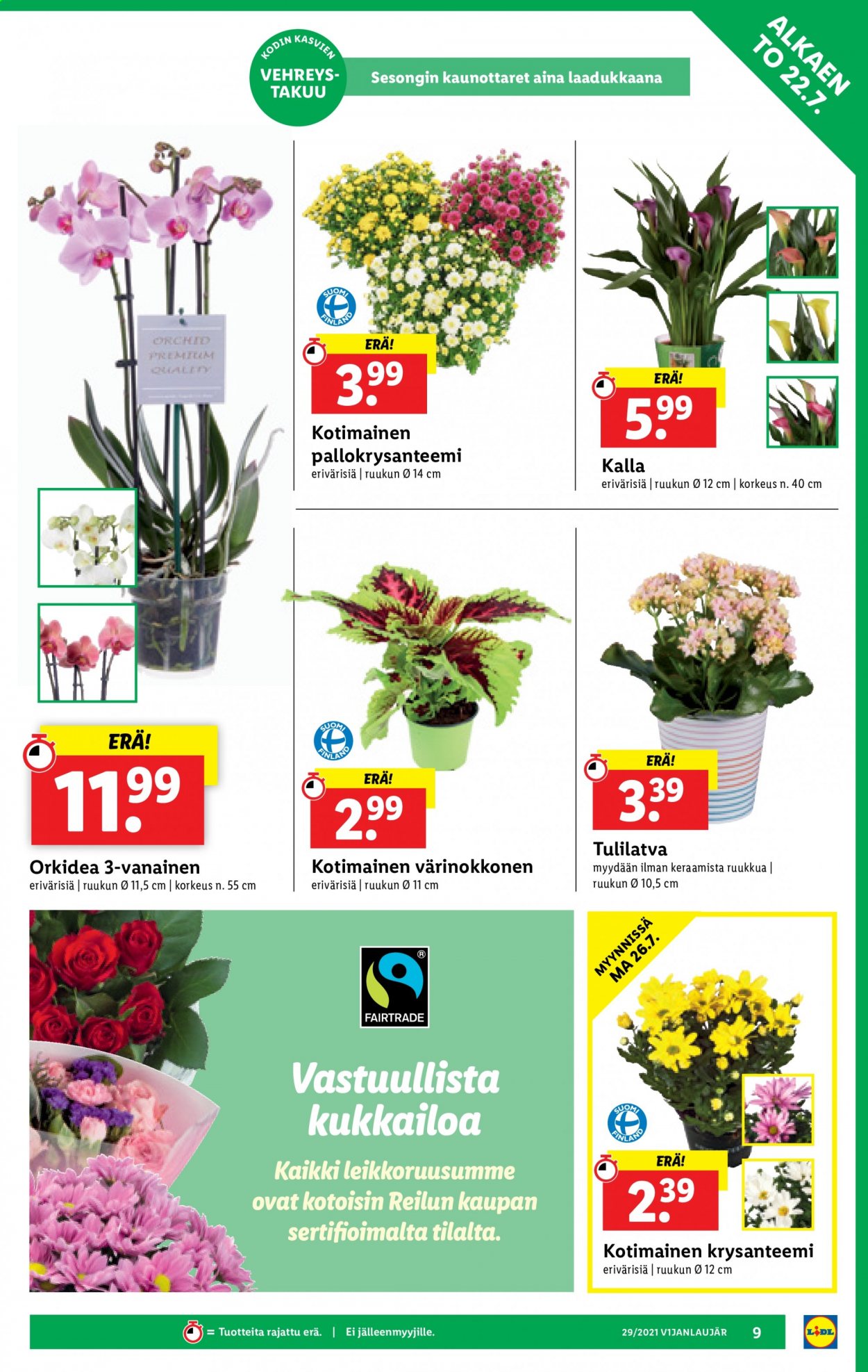 Lidl tarjoukset - 22.07.2021 - 28.07.2021. Sivu 9
