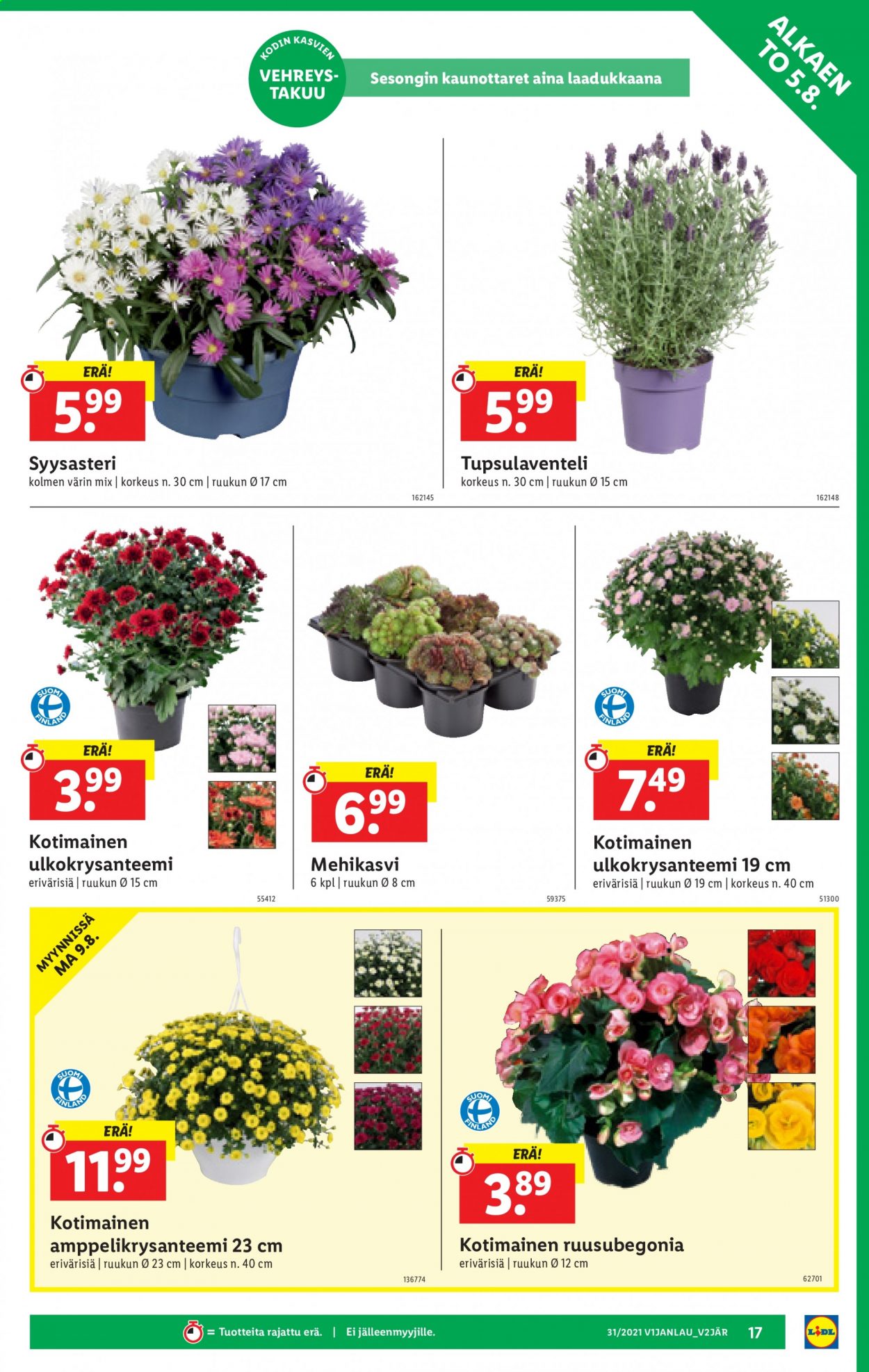 Lidl tarjoukset - 05.08.2021 - 11.08.2021. Sivu 17