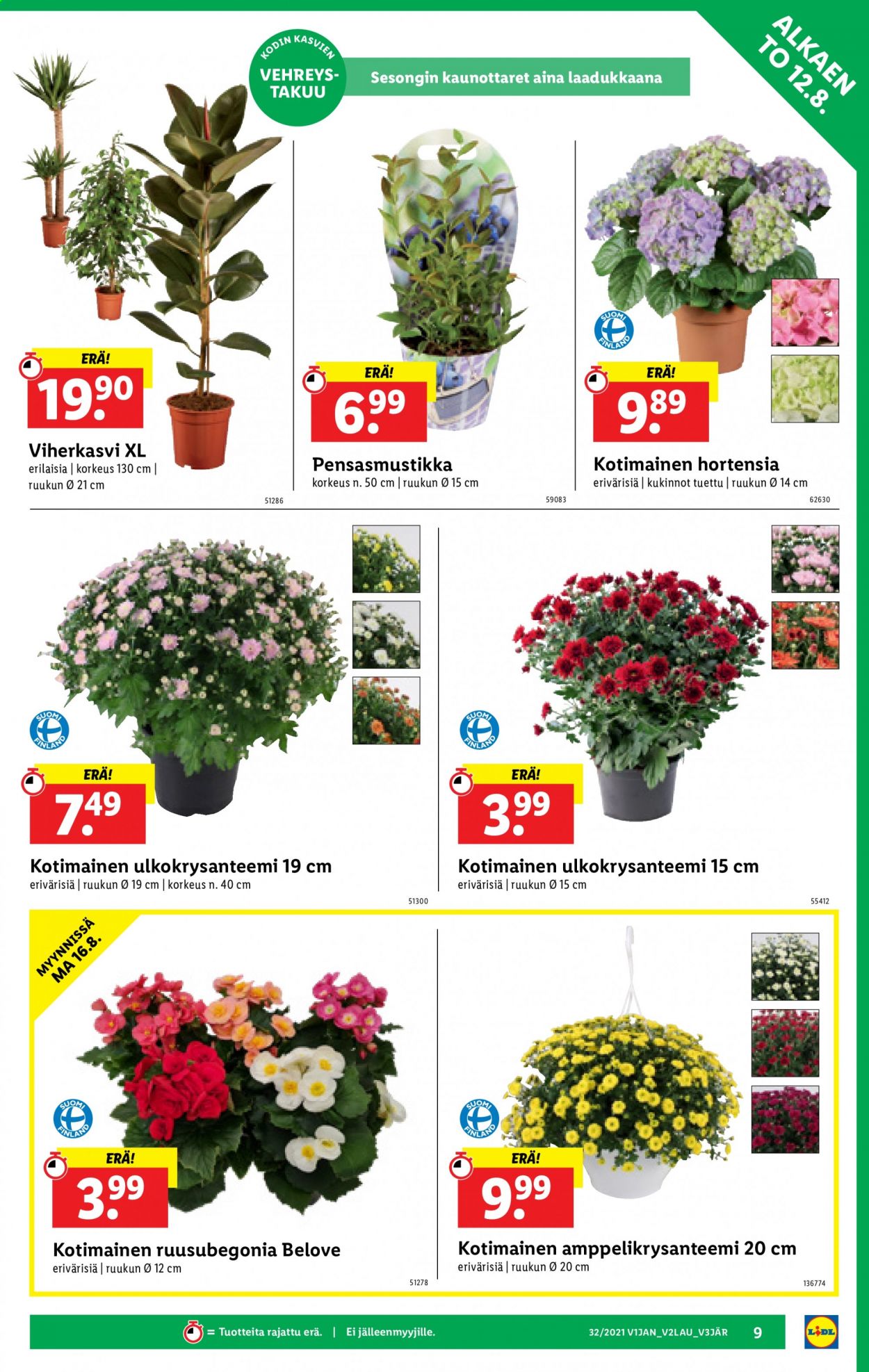 Lidl tarjoukset - 12.08.2021 - 18.08.2021. Sivu 9