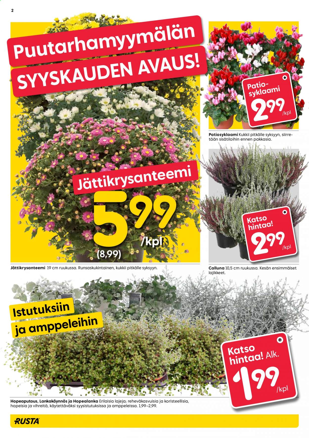 Rusta tarjoukset - 11.08.2021 - 17.08.2021. Sivu 2