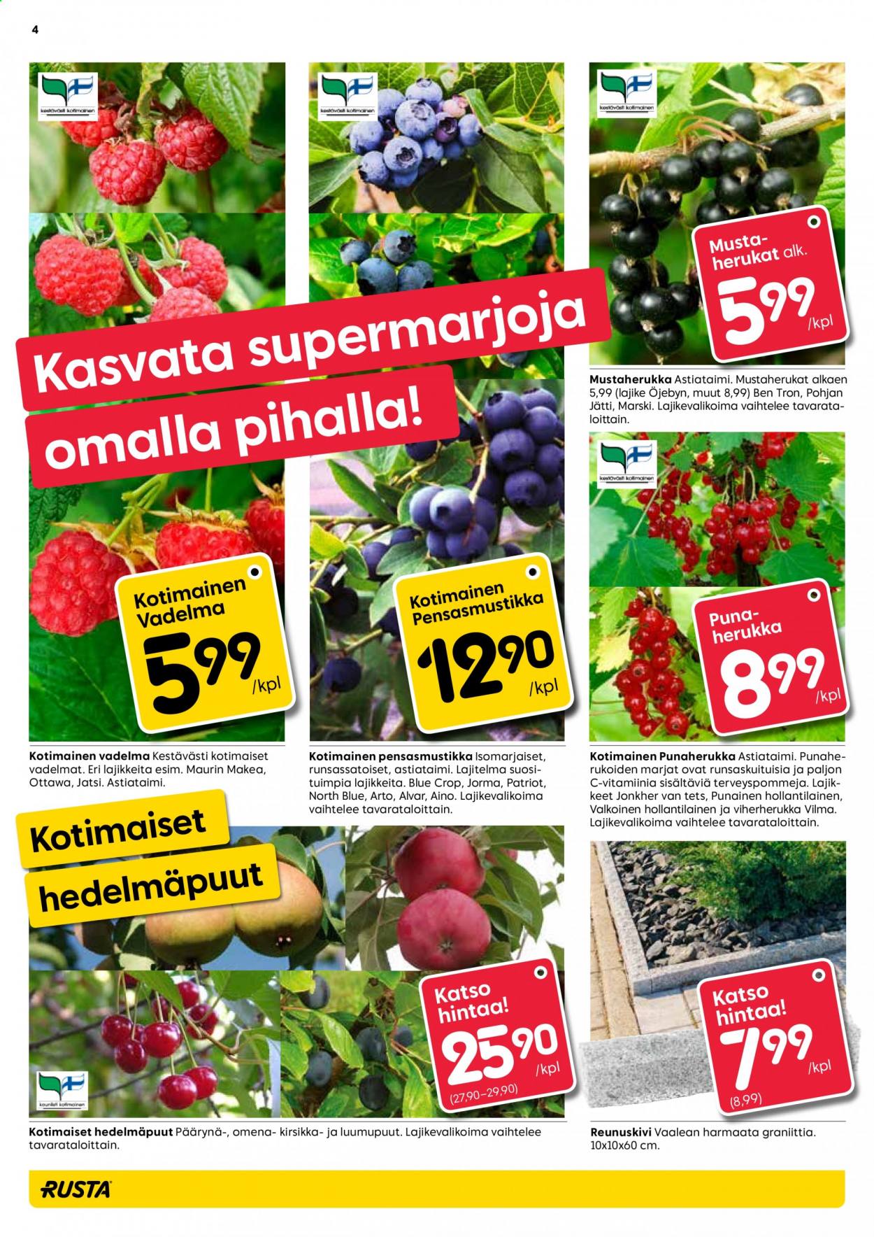 Rusta tarjoukset - 11.08.2021 - 17.08.2021. Sivu 4