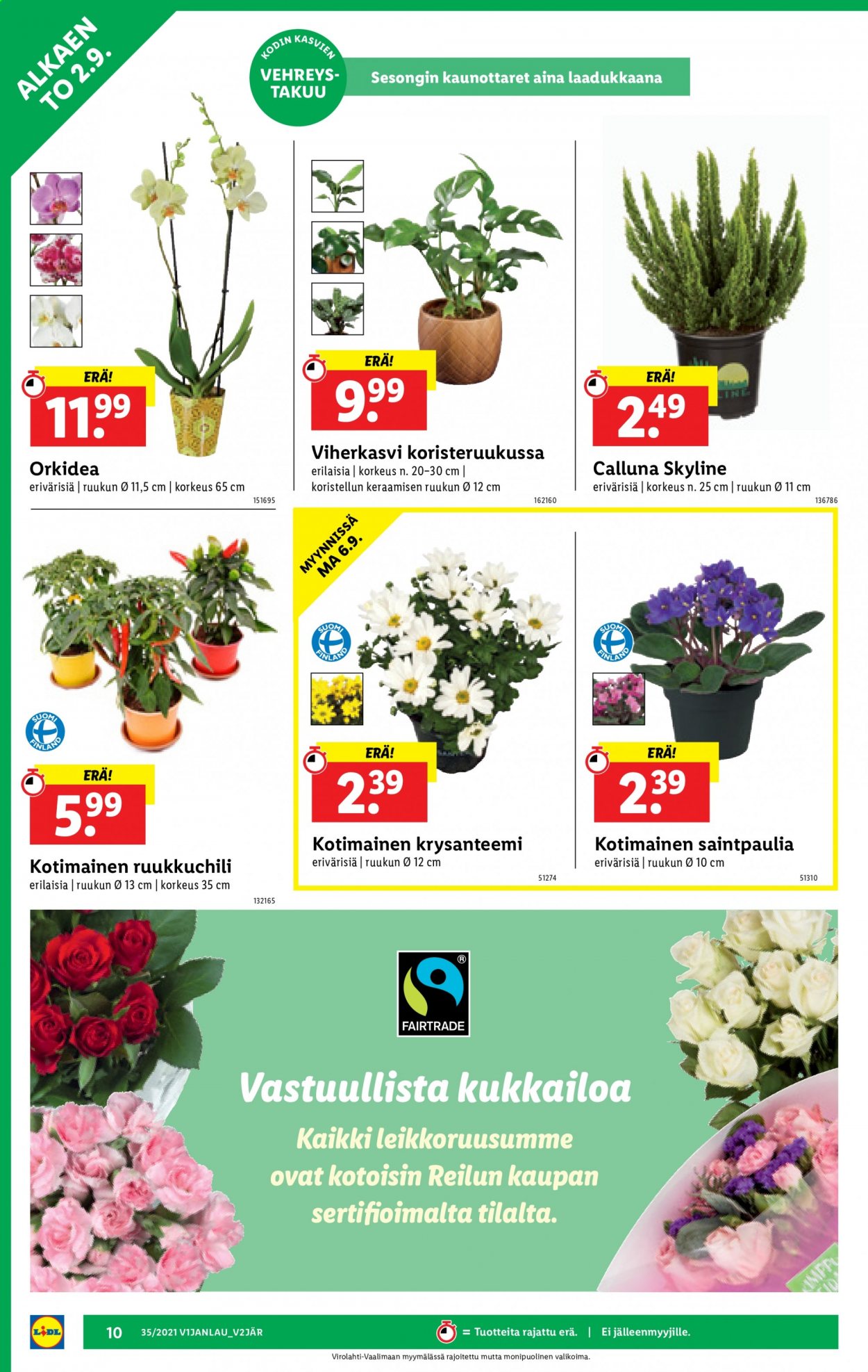 Lidl tarjoukset - 02.09.2021 - 08.09.2021. Sivu 10