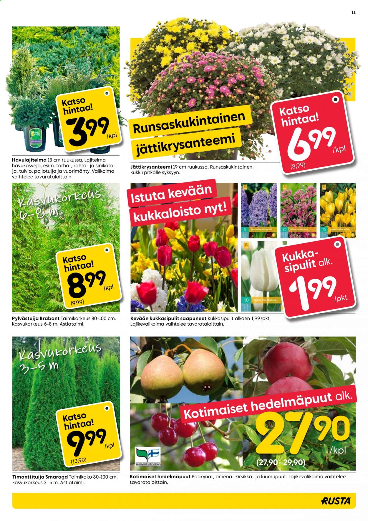 Rusta tarjoukset - 01.09.2021 - 07.09.2021. Sivu 11