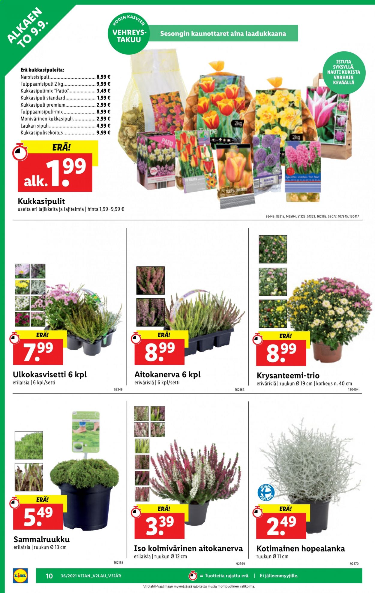 Lidl tarjoukset - 09.09.2021 - 15.09.2021. Sivu 10