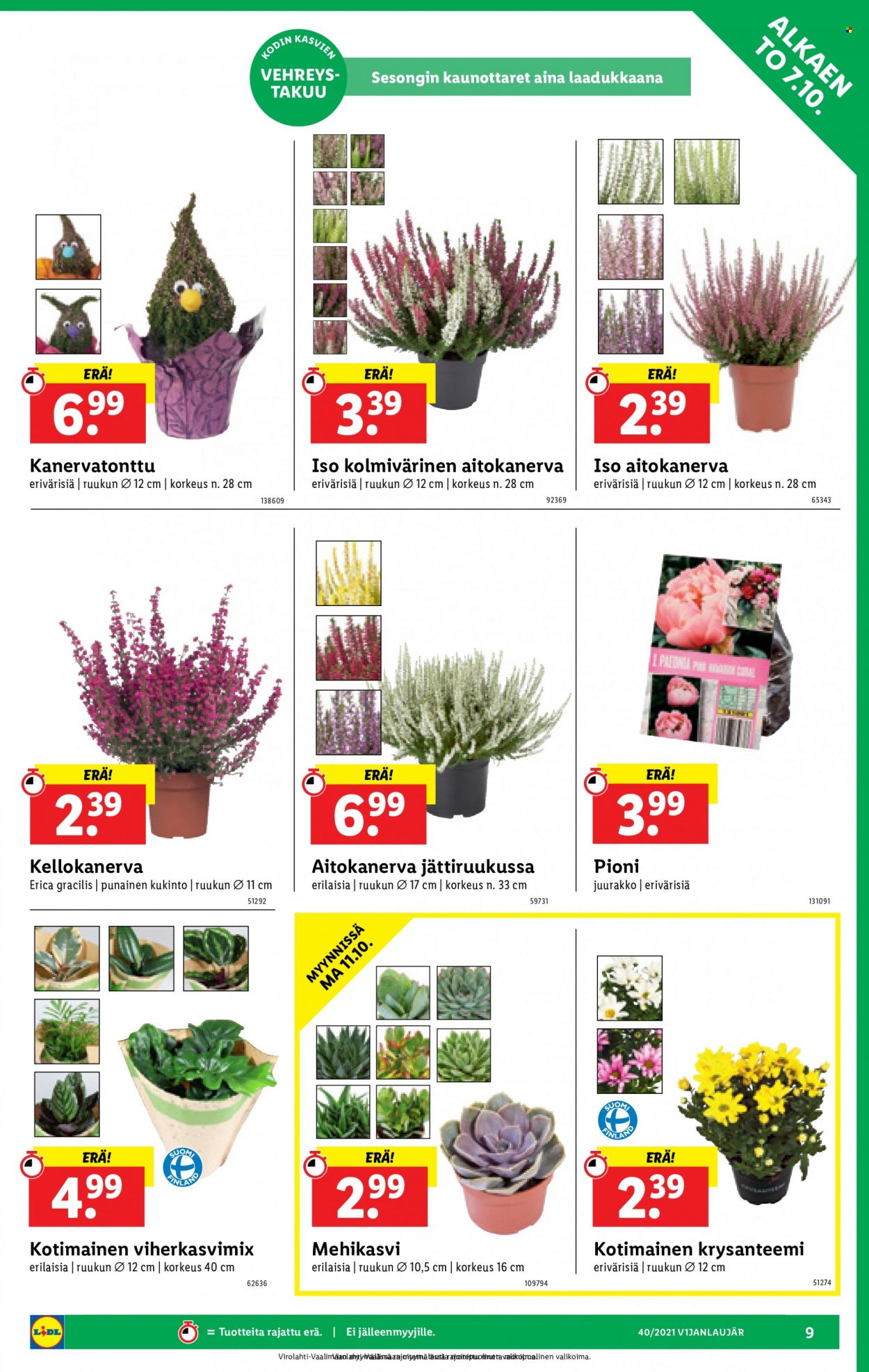 Lidl tarjoukset - 07.10.2021 - 13.10.2021. Sivu 9