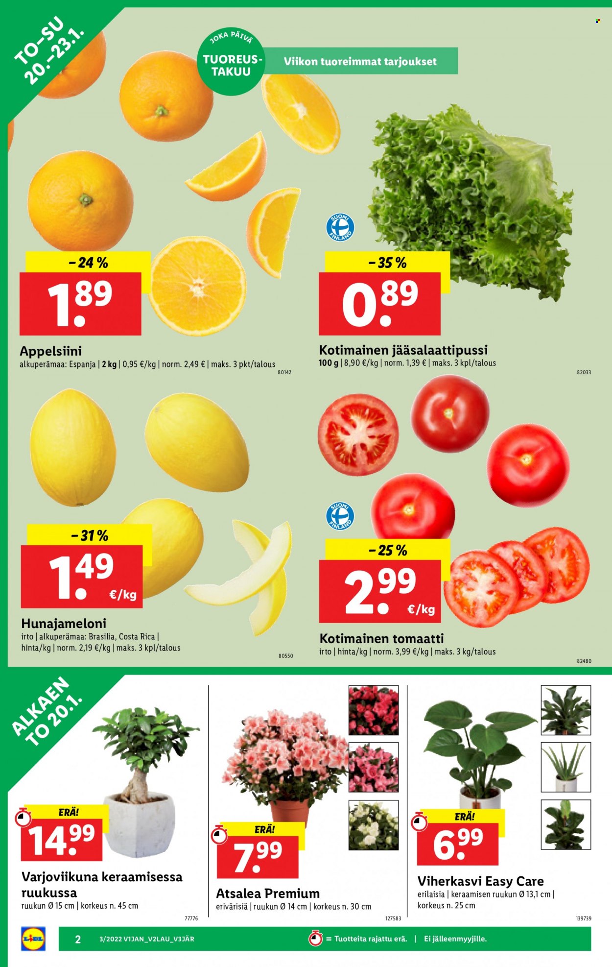 Lidl tarjoukset - 20.01.2022 - 26.01.2022. Sivu 2