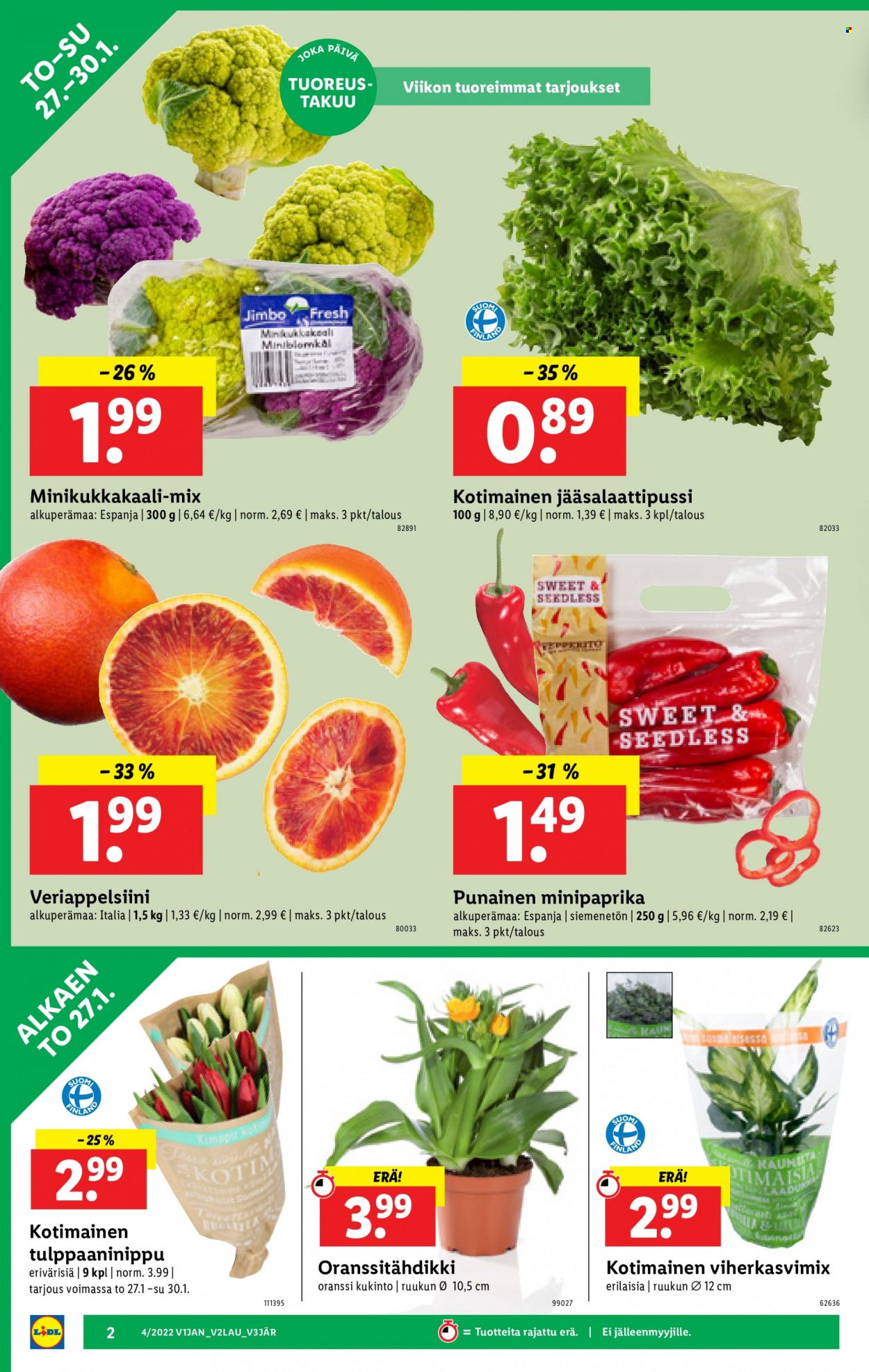 Lidl tarjoukset - 27.01.2022 - 02.02.2022. Sivu 2
