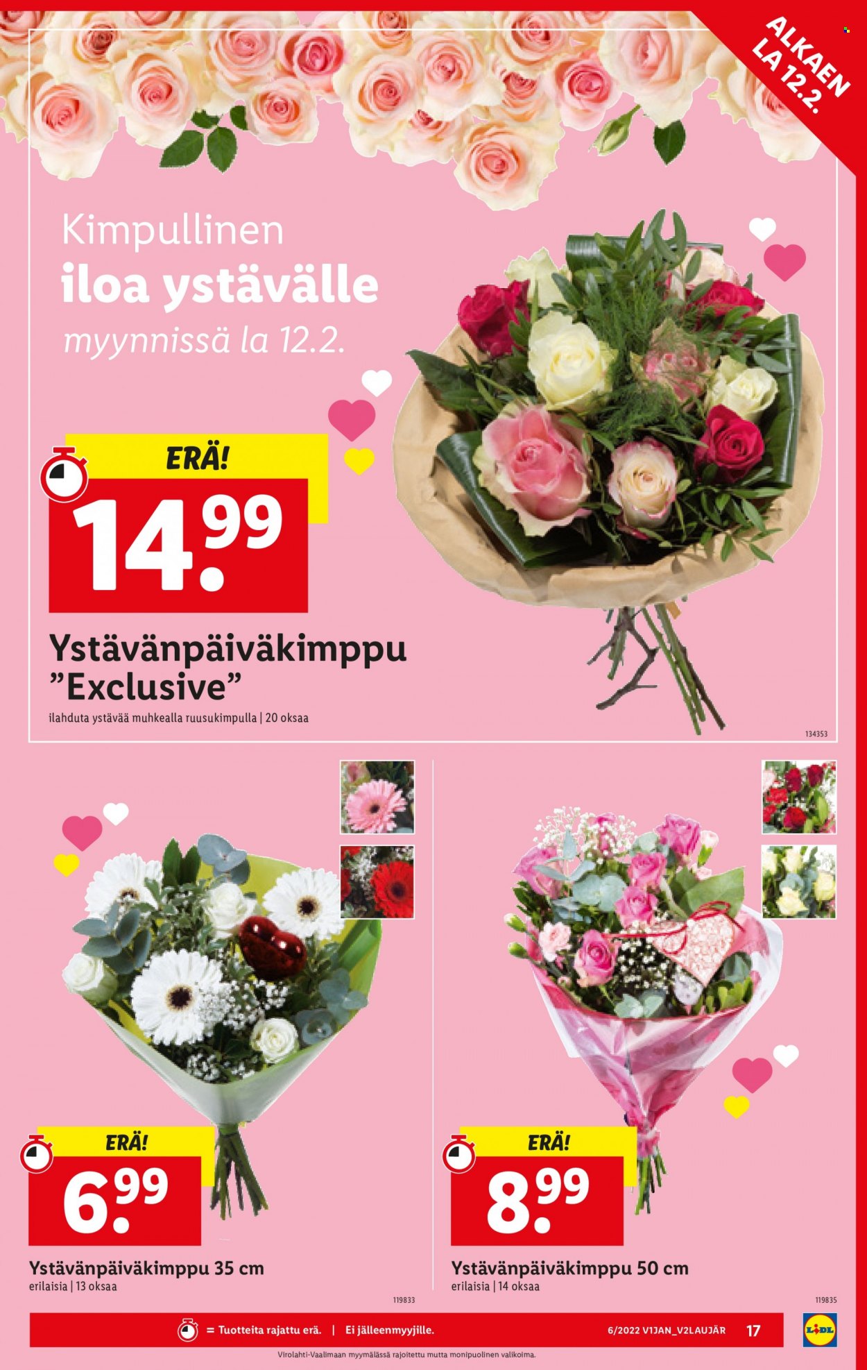 Lidl tarjoukset - 10.02.2022 - 16.02.2022. Sivu 17