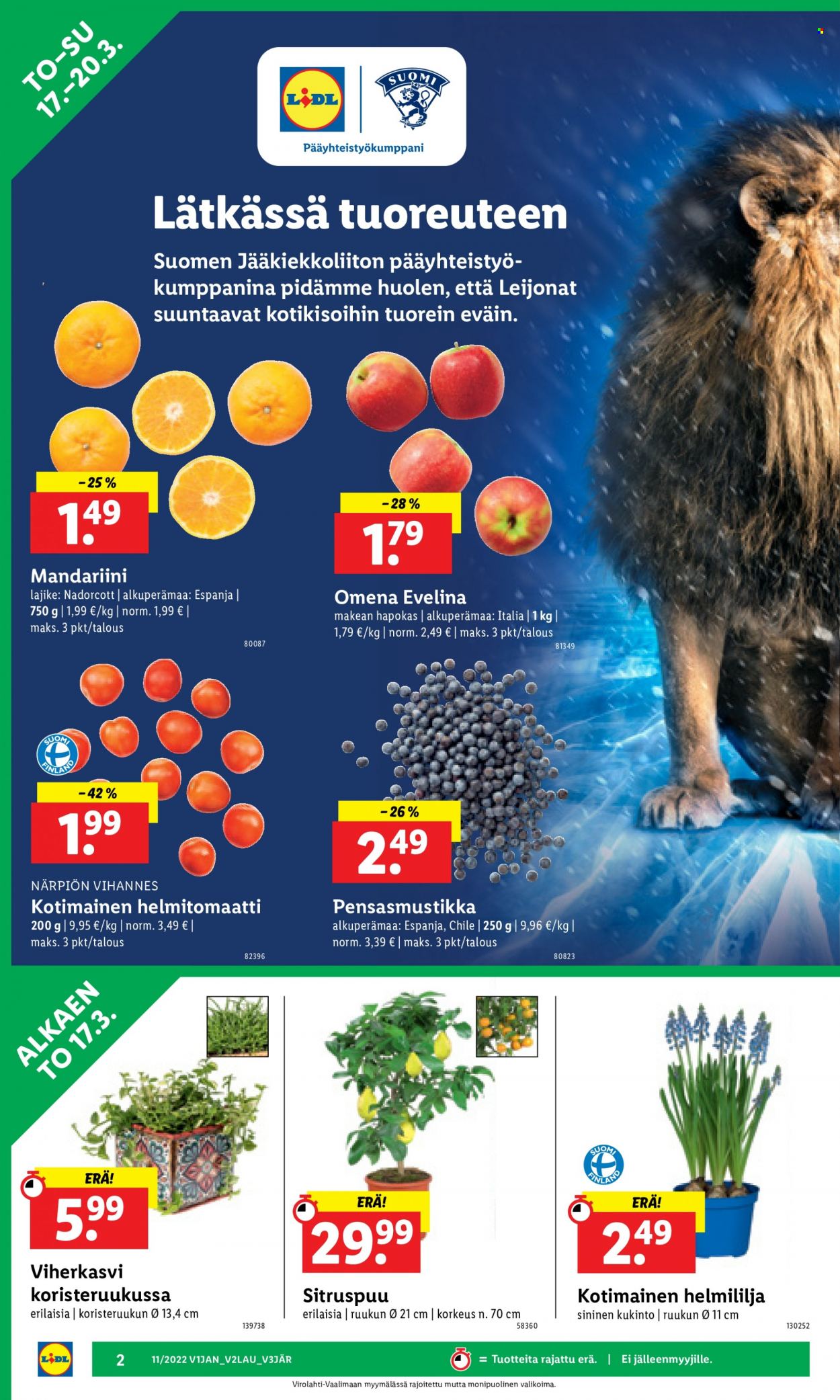 Lidl tarjoukset - 17.03.2022 - 23.03.2022. Sivu 2