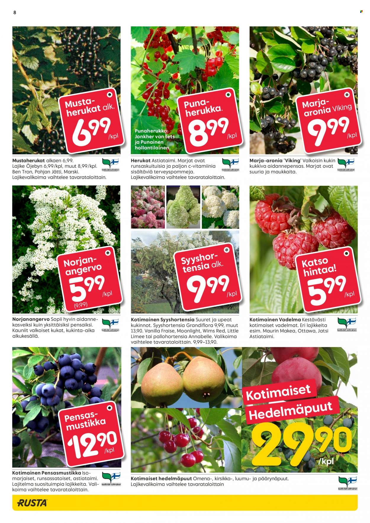 Rusta tarjoukset - 27.04.2022 - 01.05.2022. Sivu 8
