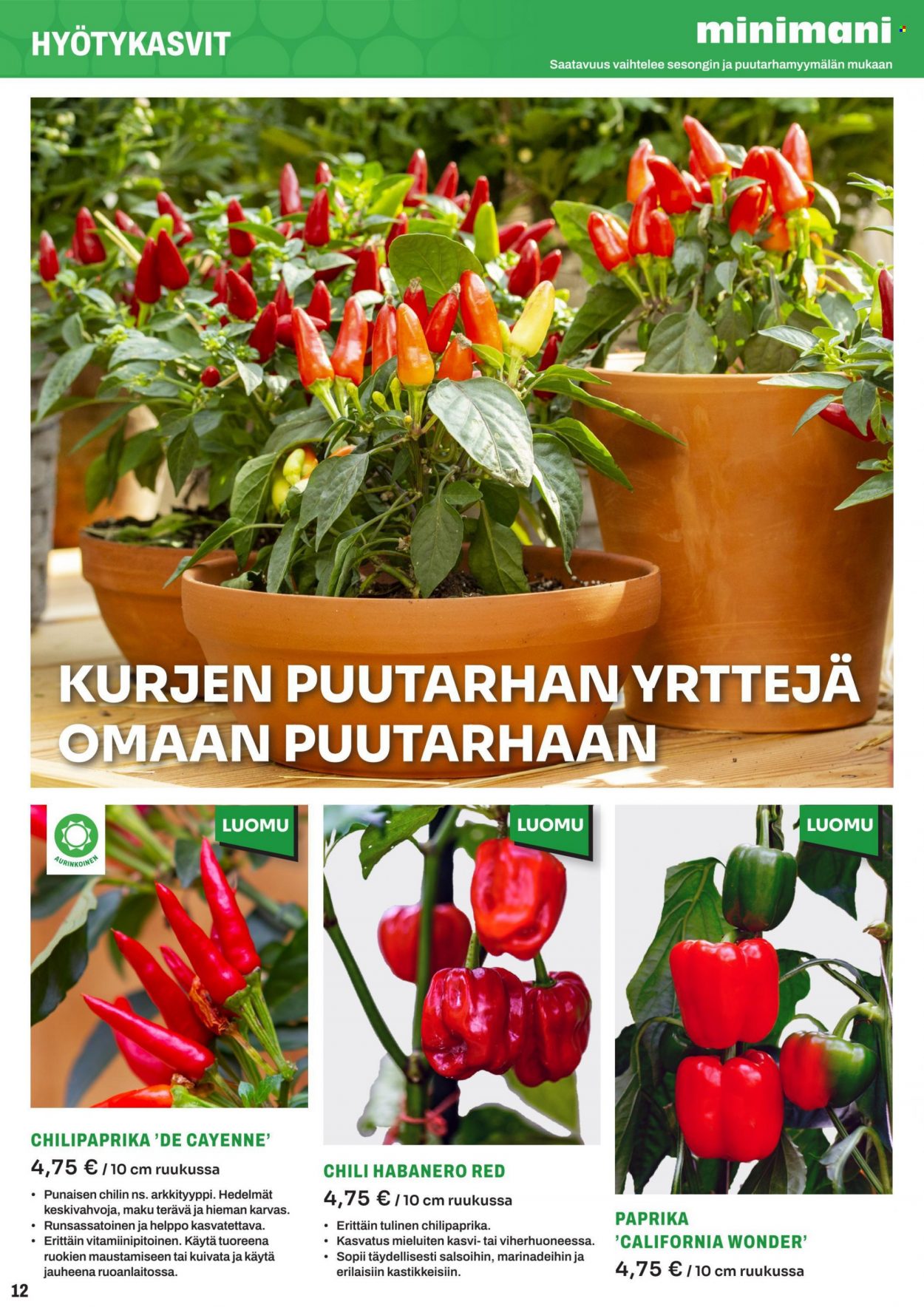 Minimani tarjoukset. Sivu 12
