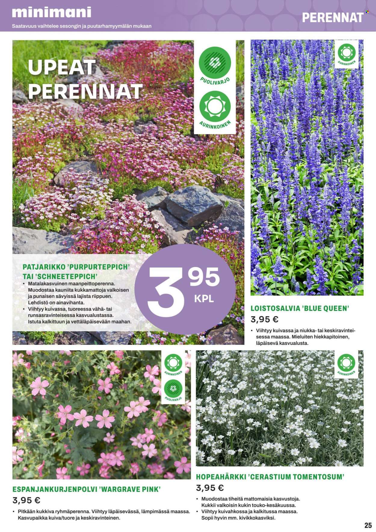 Minimani tarjoukset. Sivu 25
