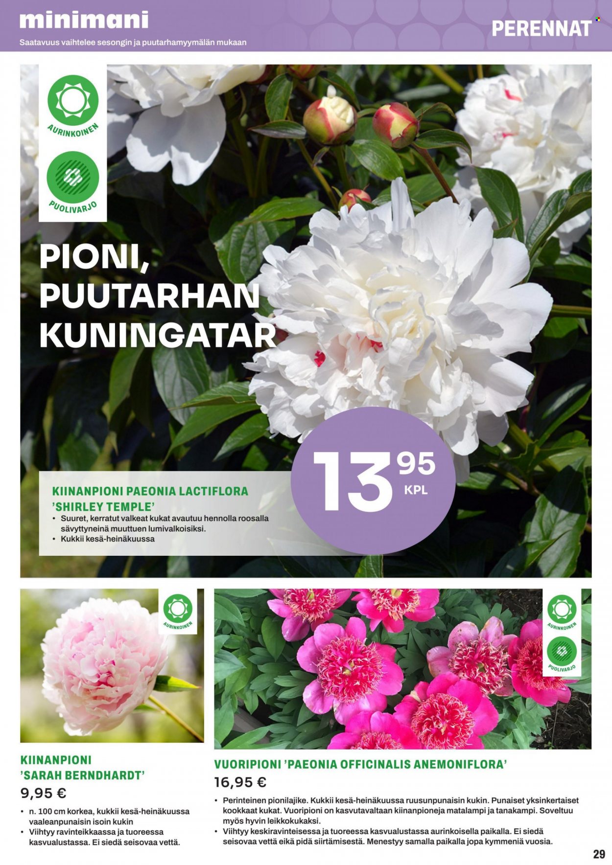 Minimani tarjoukset. Sivu 29