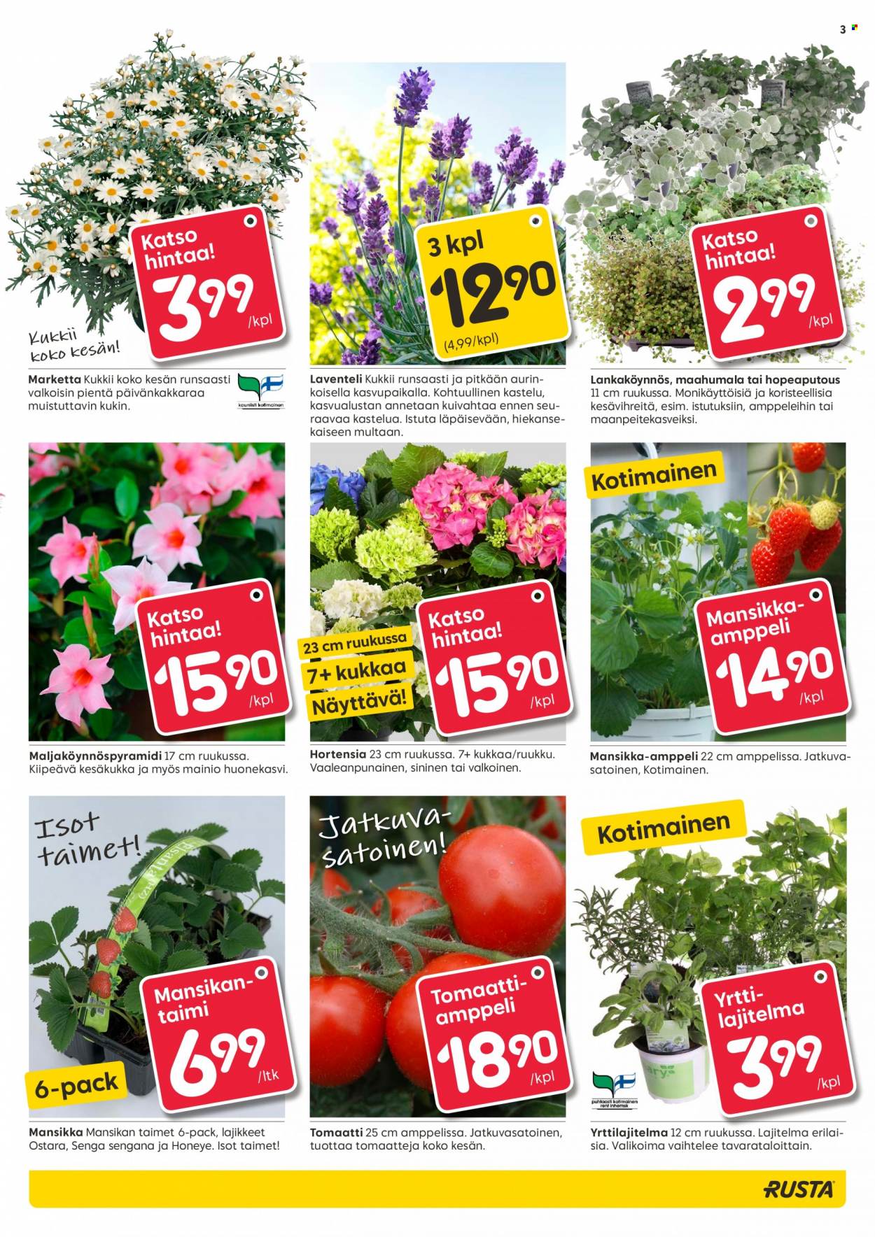 Rusta tarjoukset - 18.05.2022 - 24.05.2022. Sivu 3